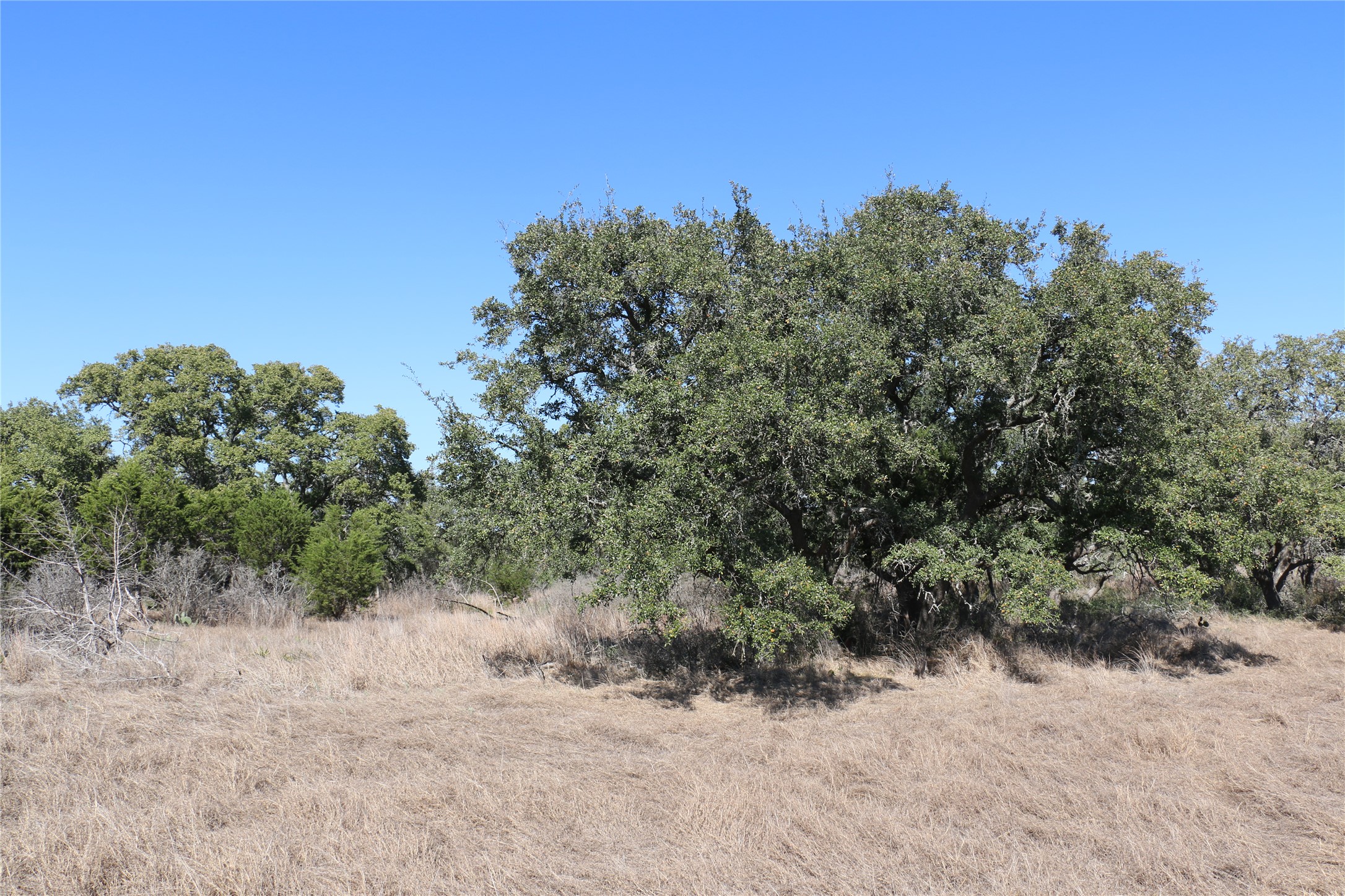 main property photo 21
