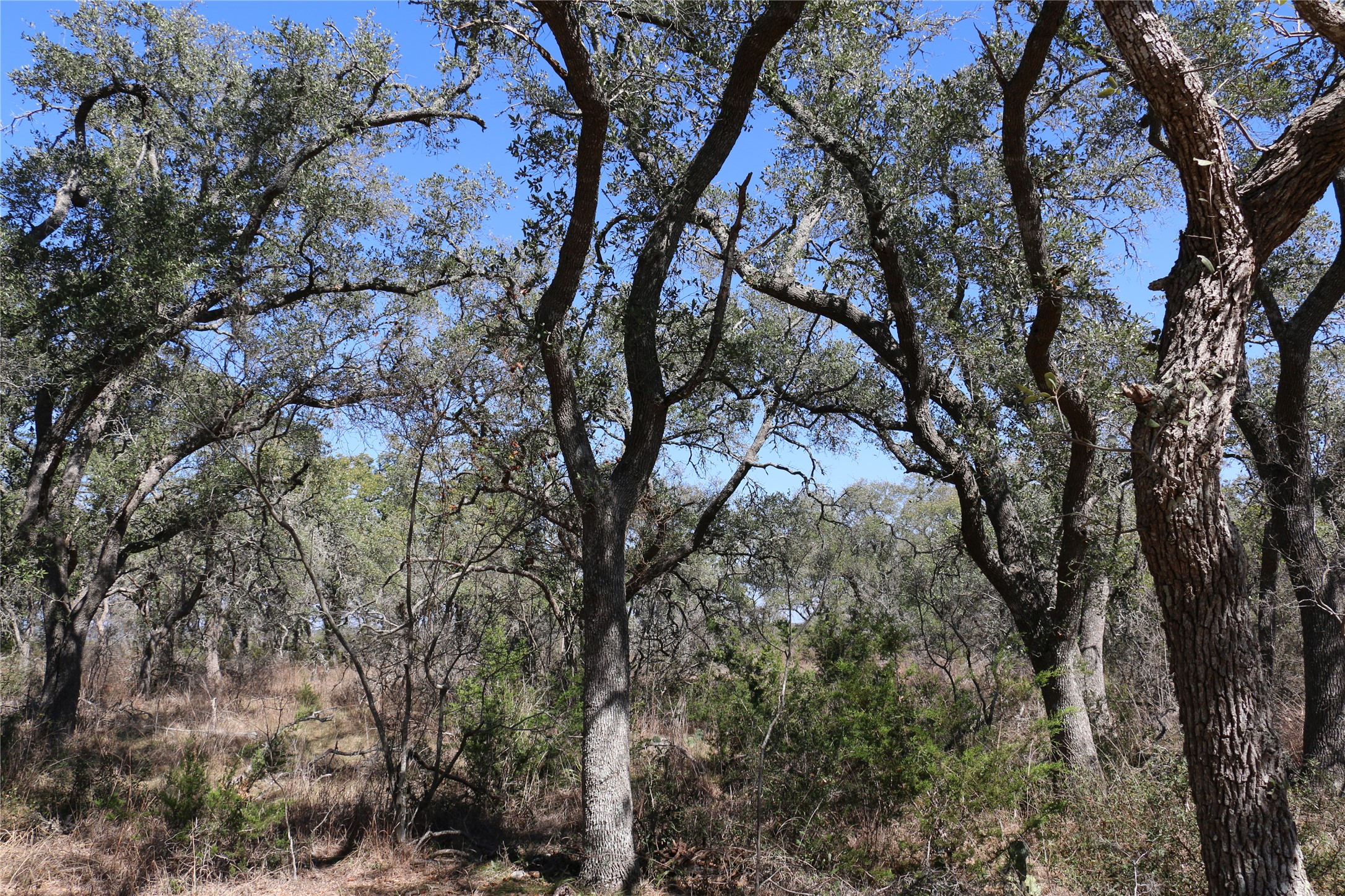 main property photo 25