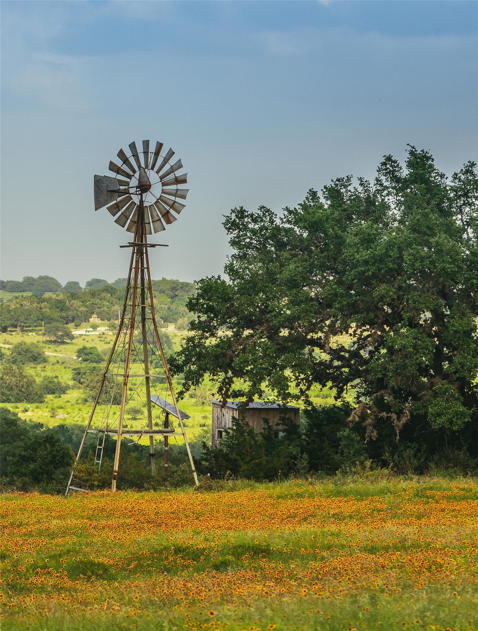 main property photo 33