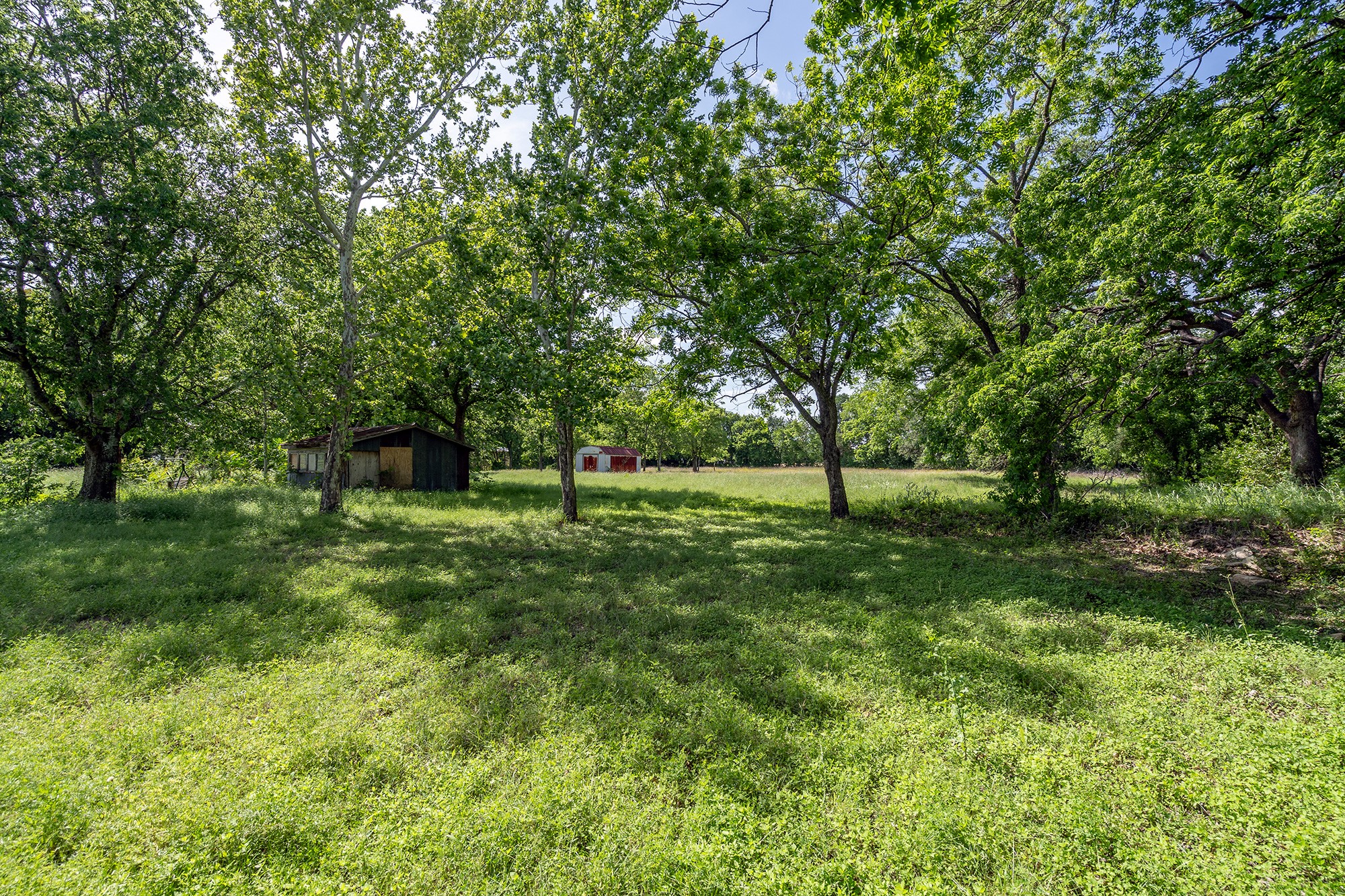 main property photo 13