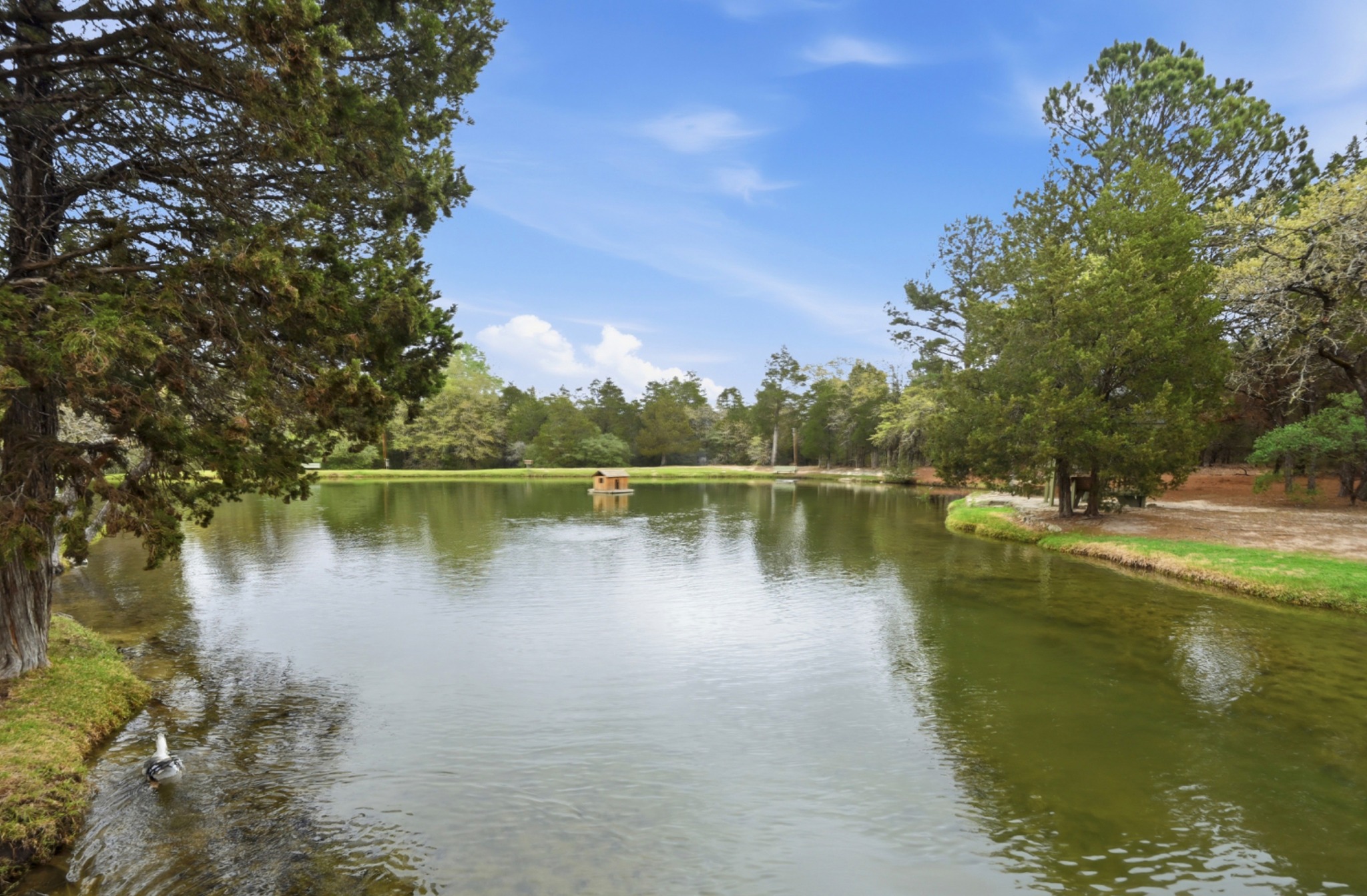 main property photo 34