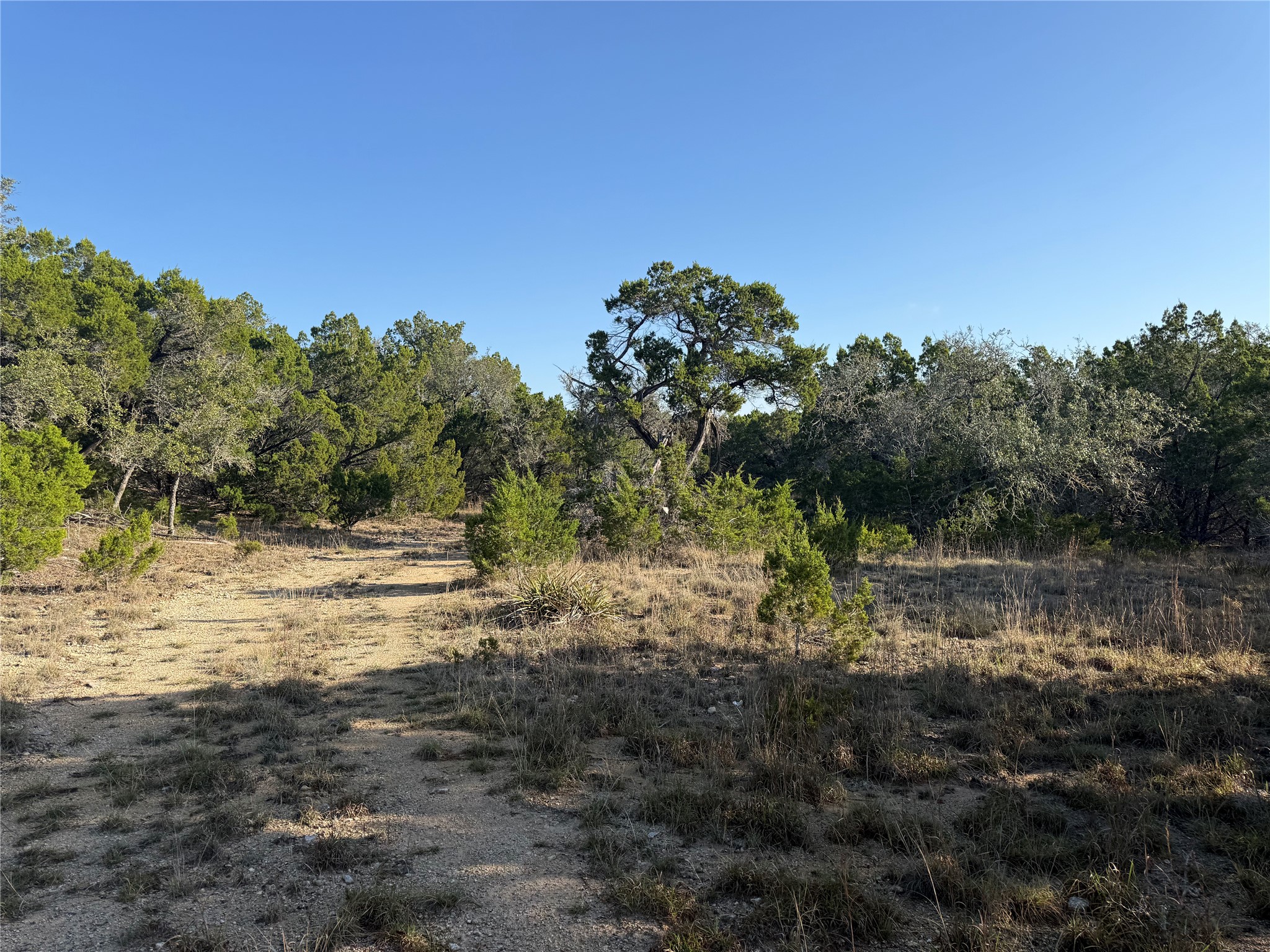 main property photo 15
