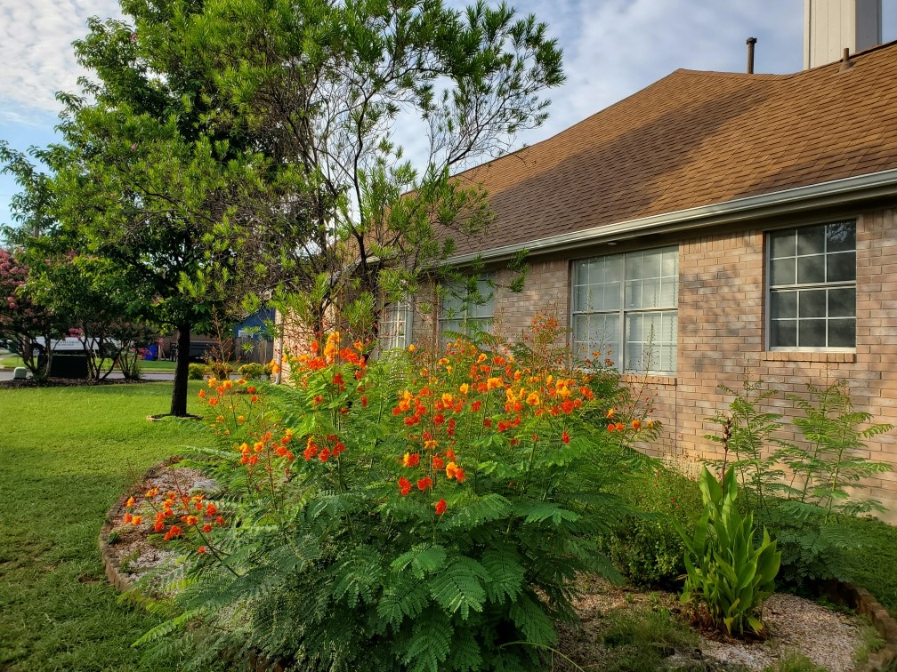 main property photo 38