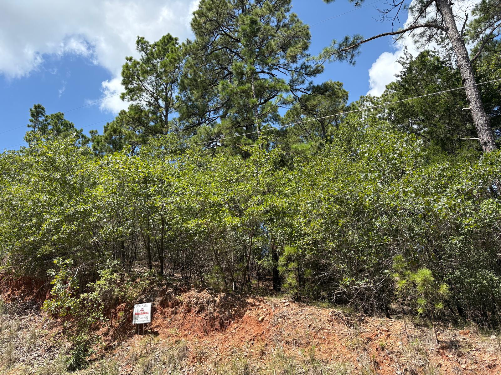 main property photo 7