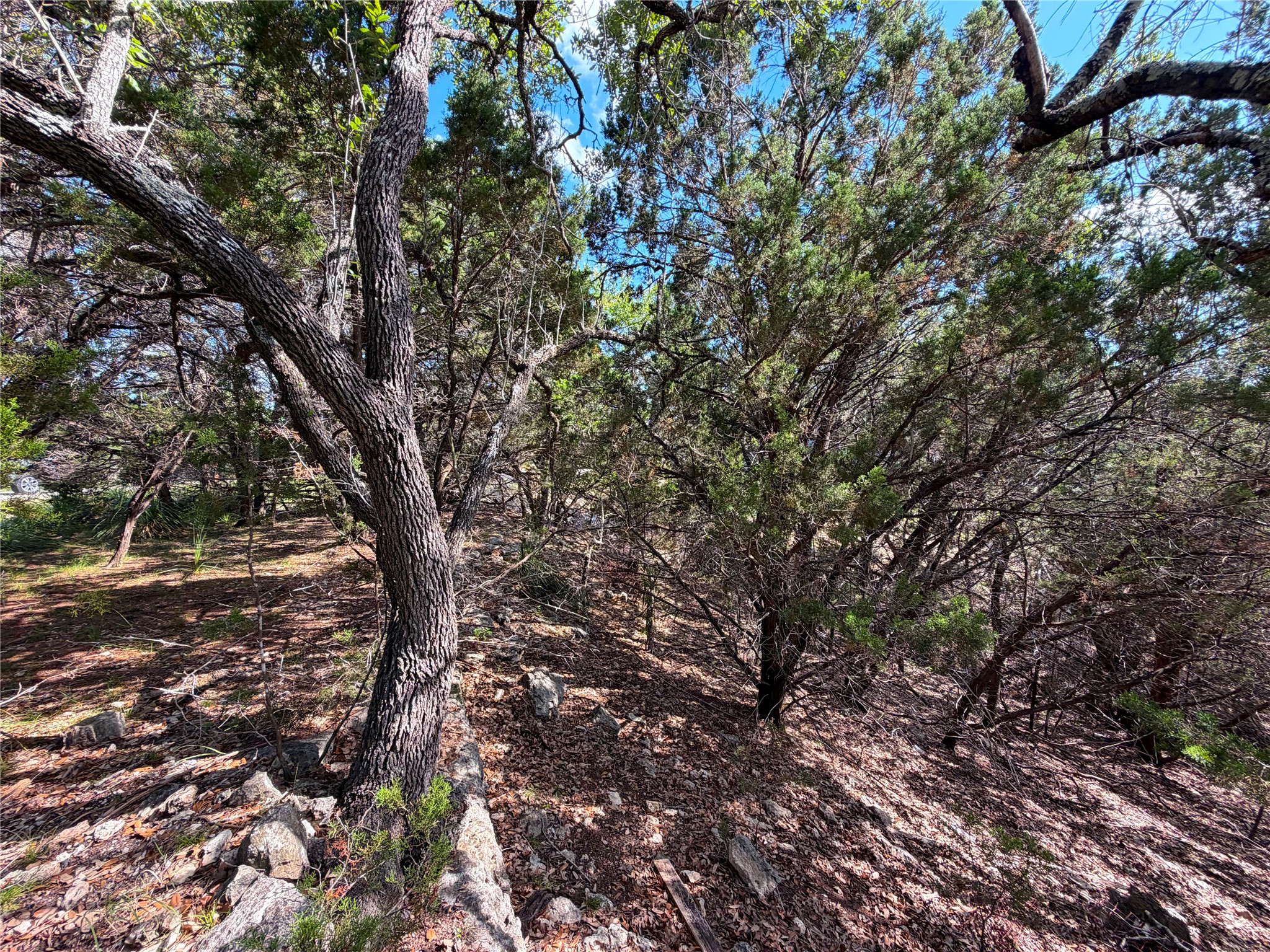main property photo 10