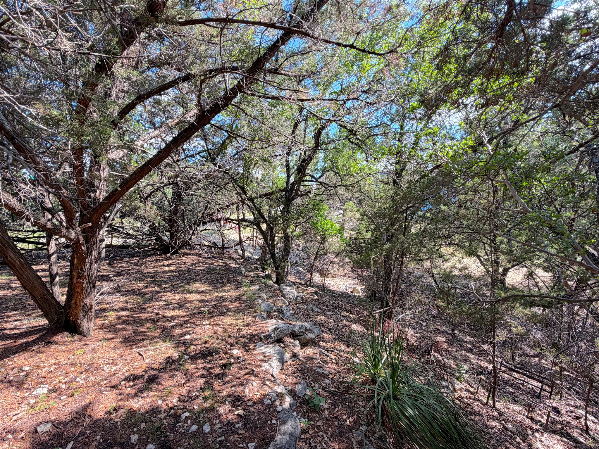 main property photo 13