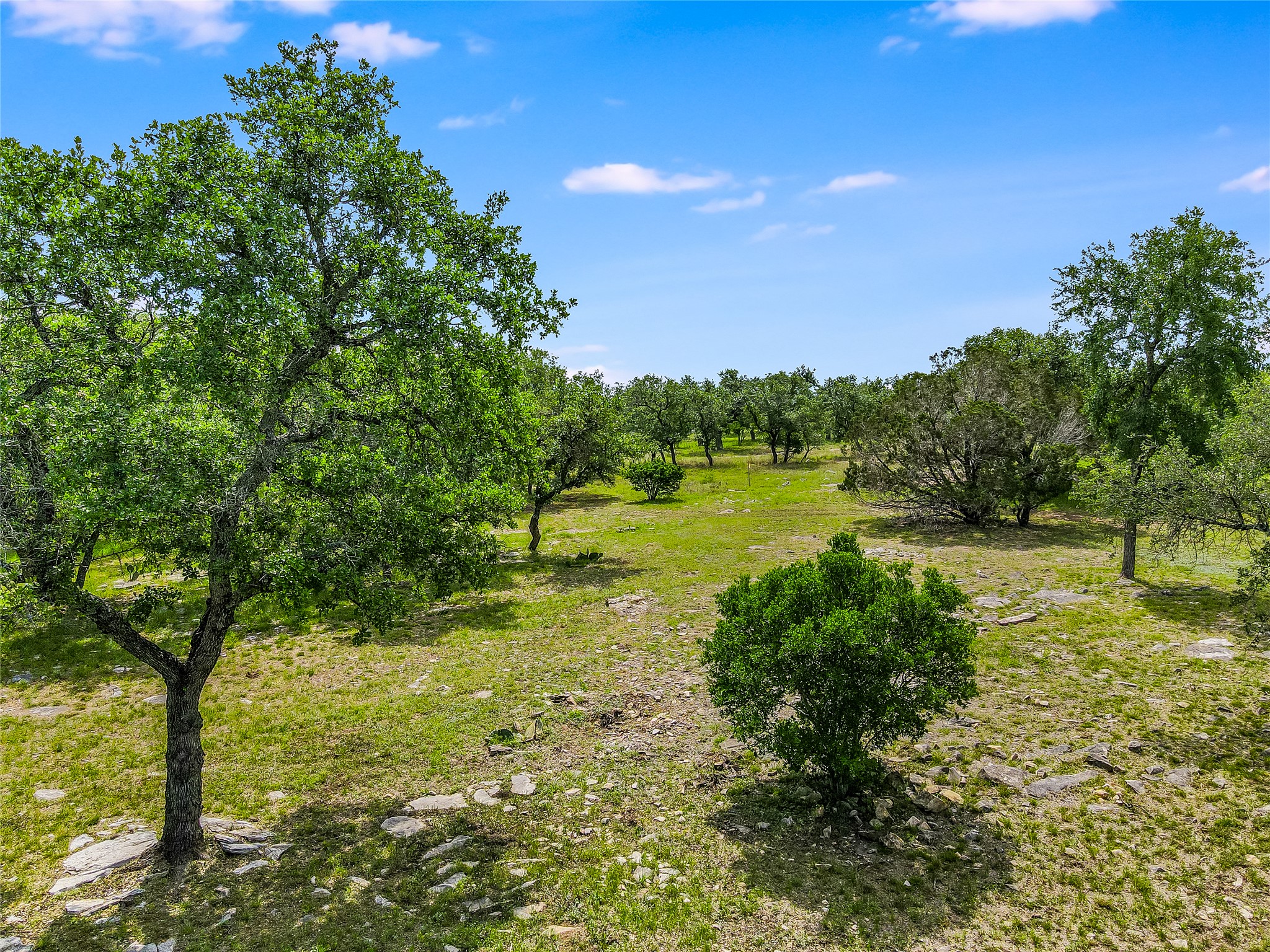 main property photo 24