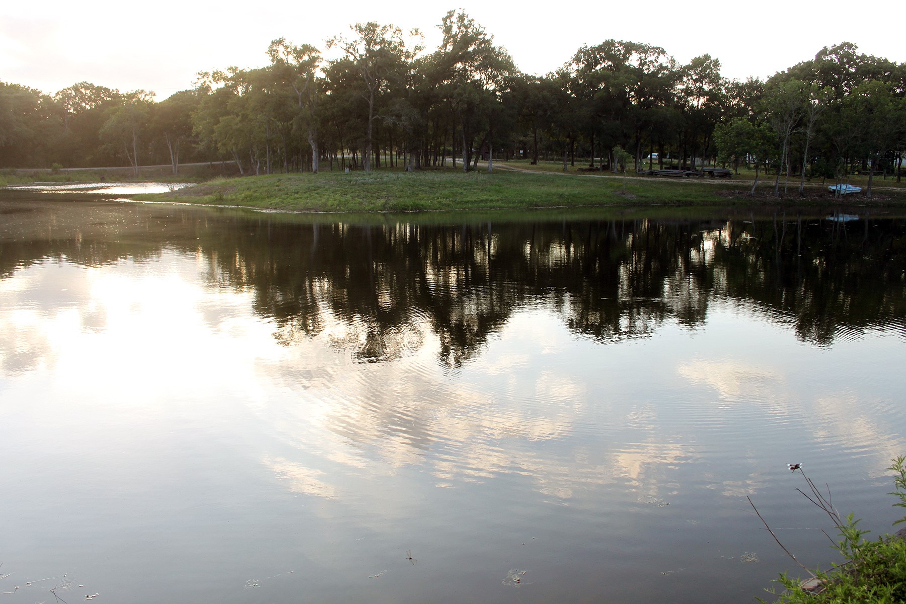 main property photo 27