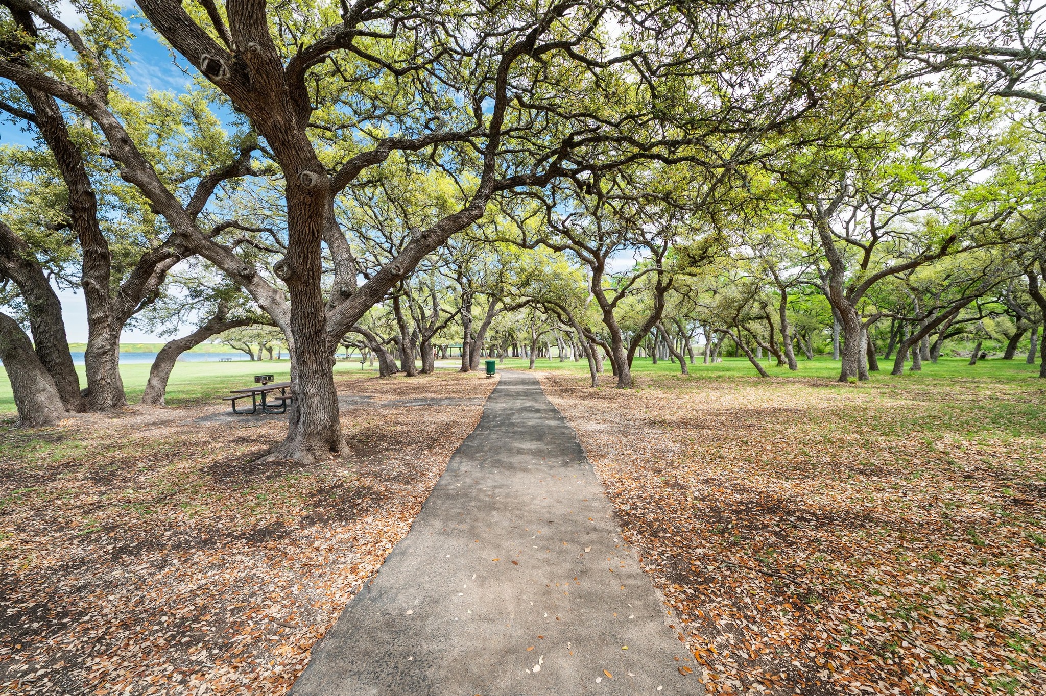 main property photo 36