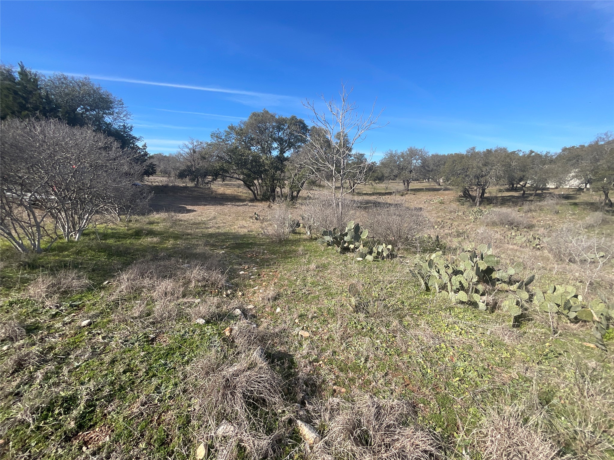 main property photo 10