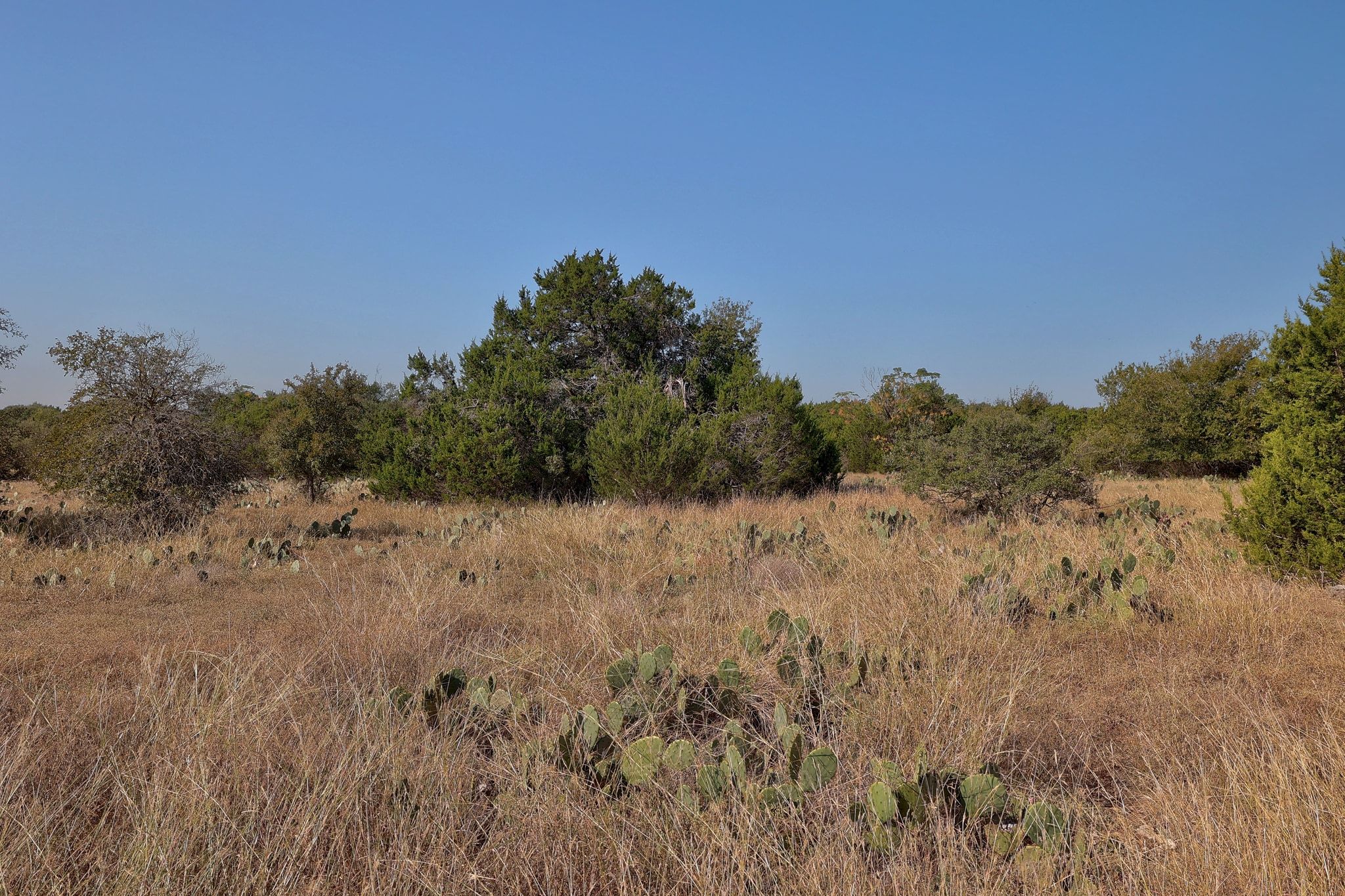 main property photo 9