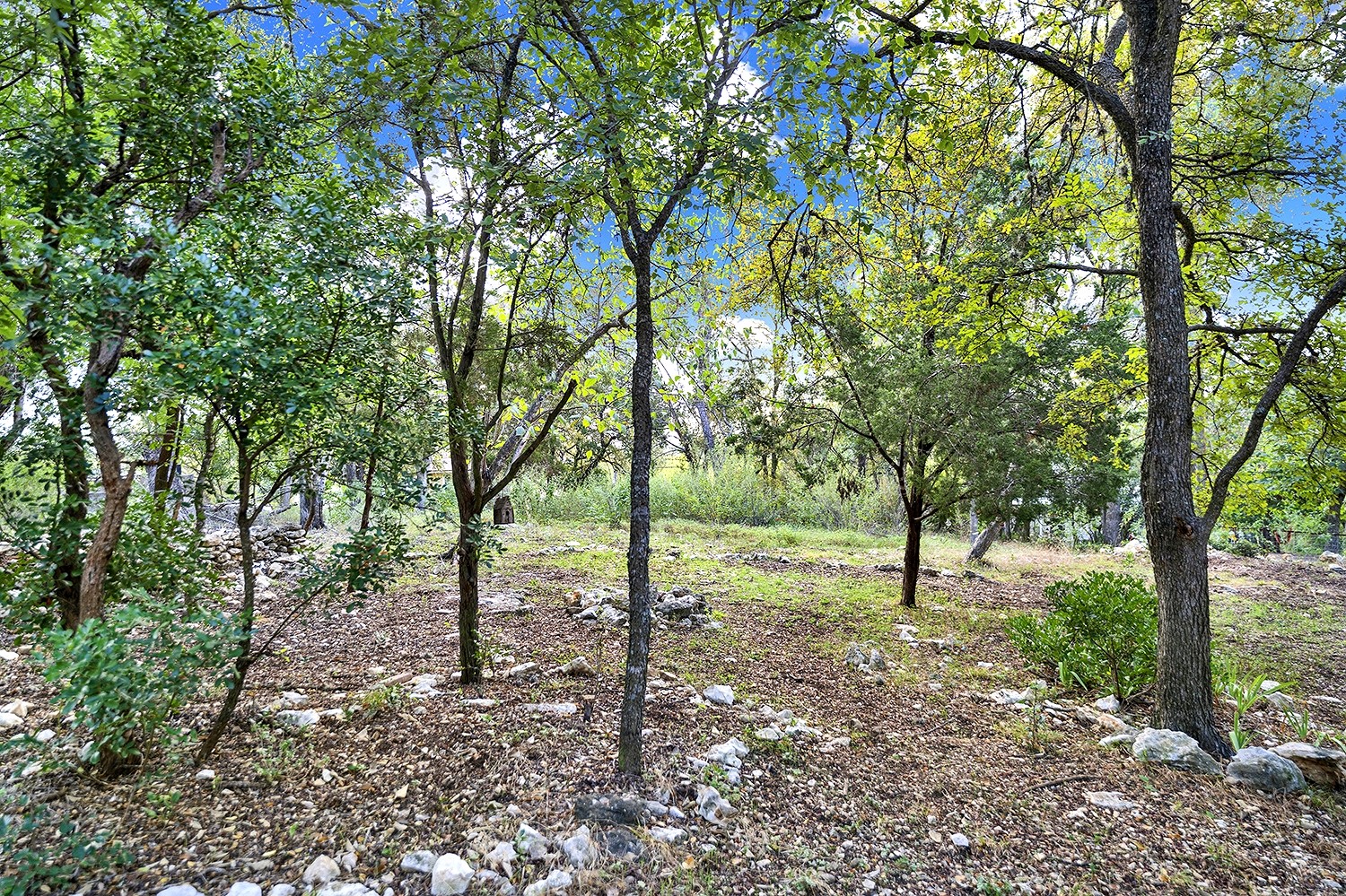 main property photo 26