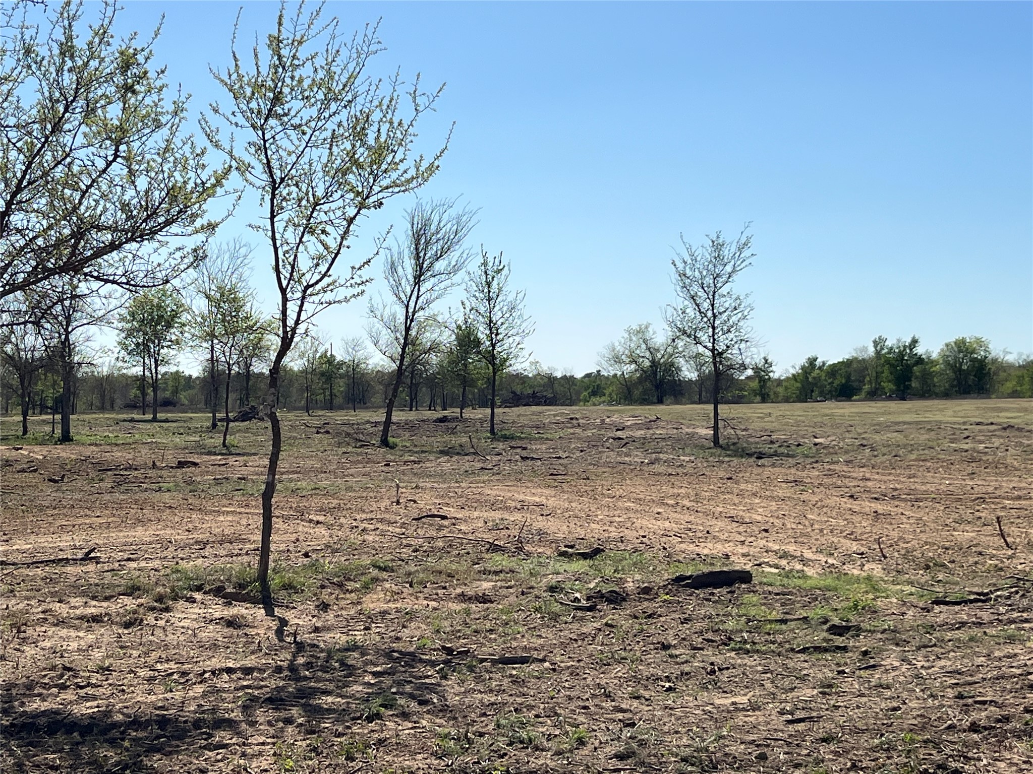 main property photo 14