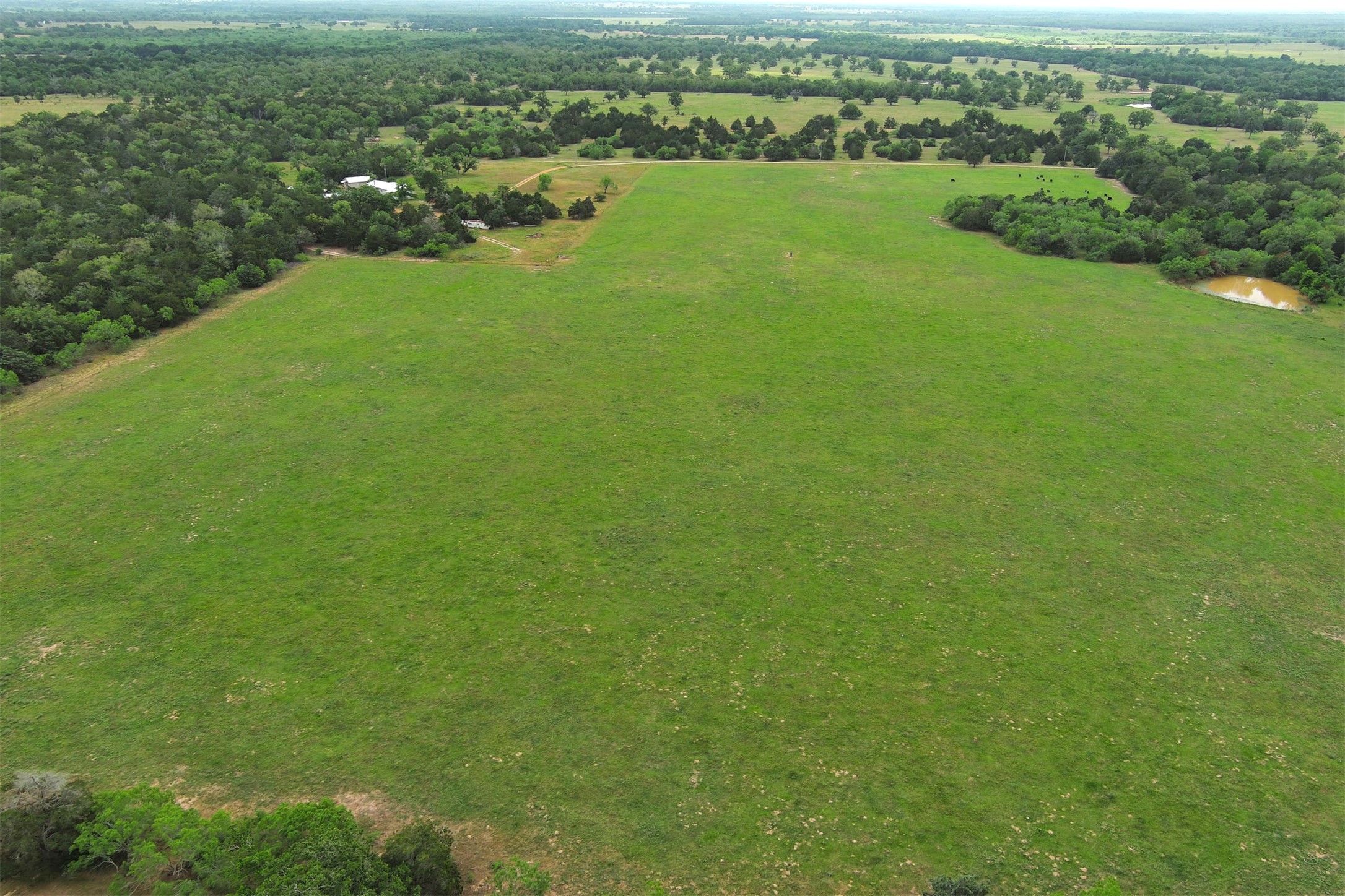main property photo 36