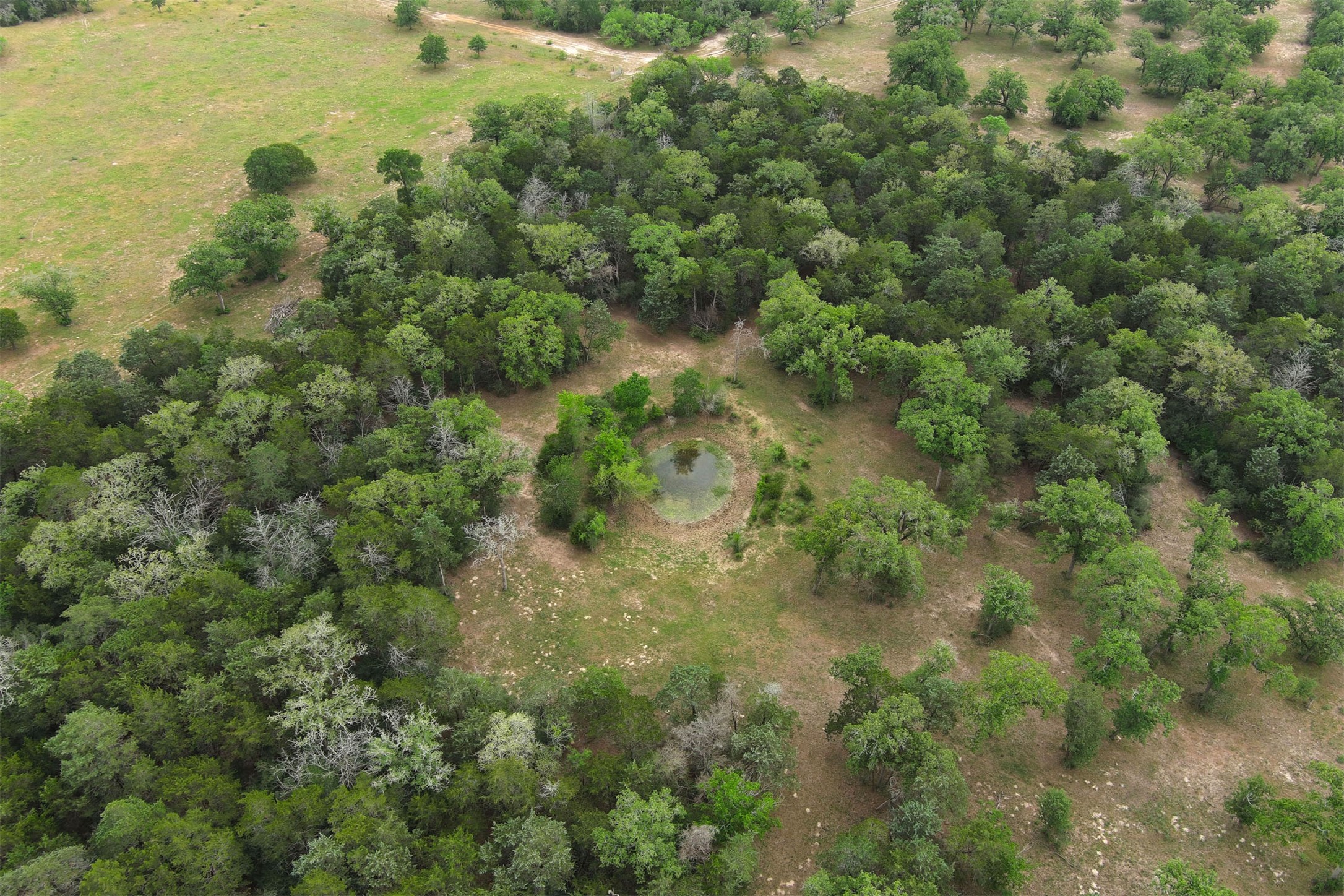 main property photo 37