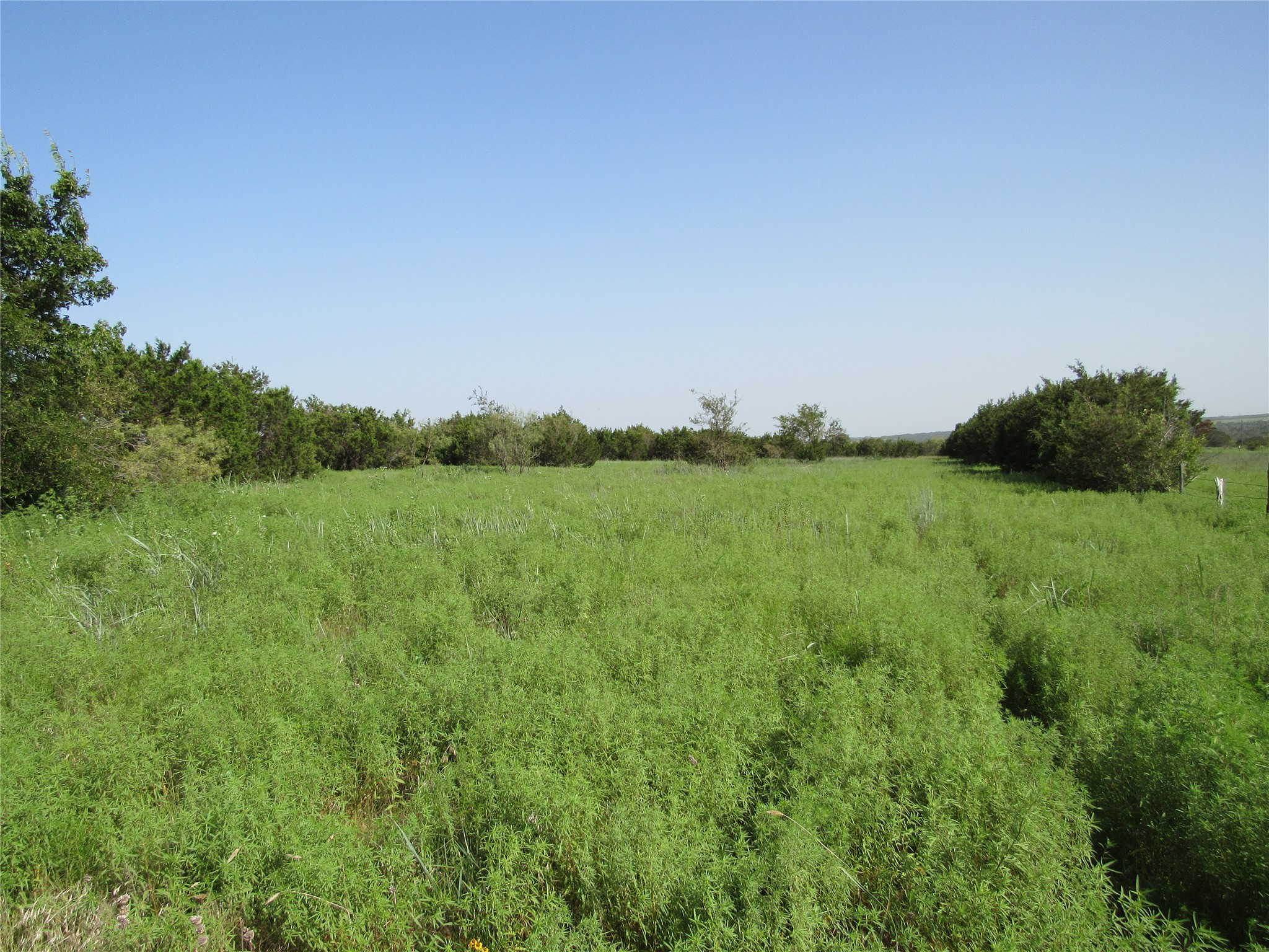 main property photo 16