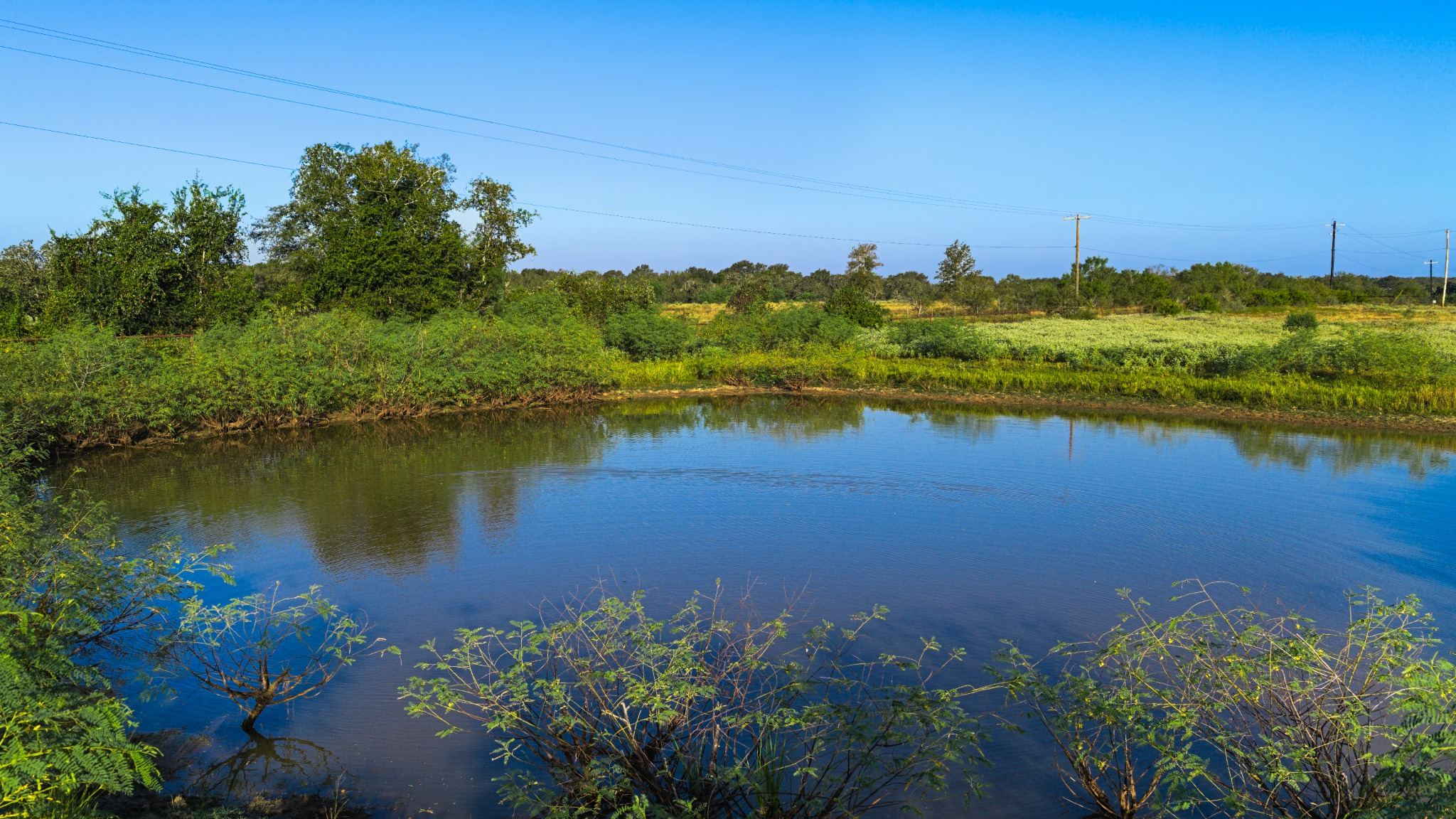 main property photo 21