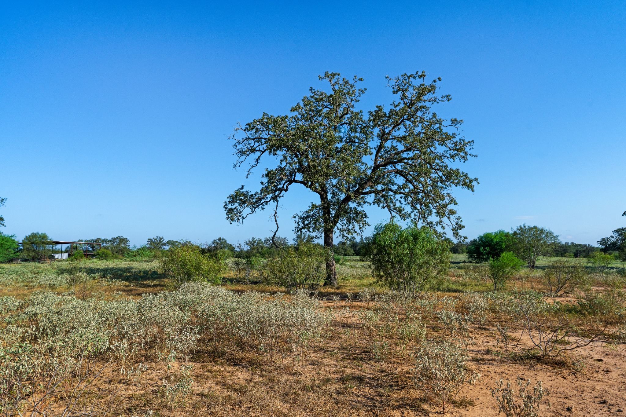 main property photo 34