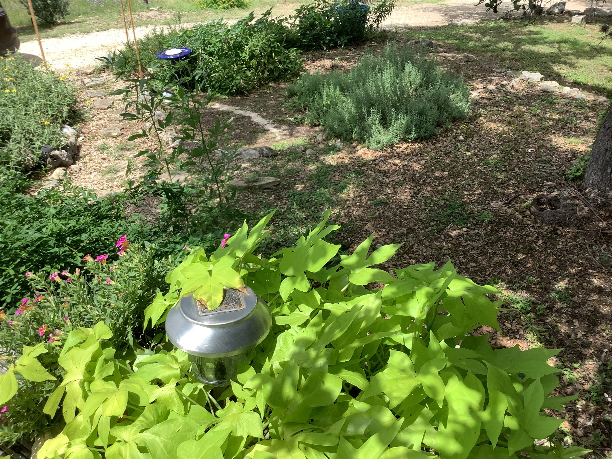 main property photo 9