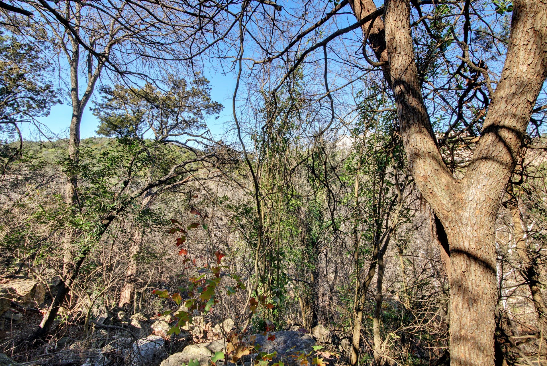 main property photo 27
