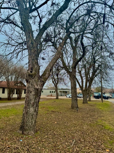 main property photo 8