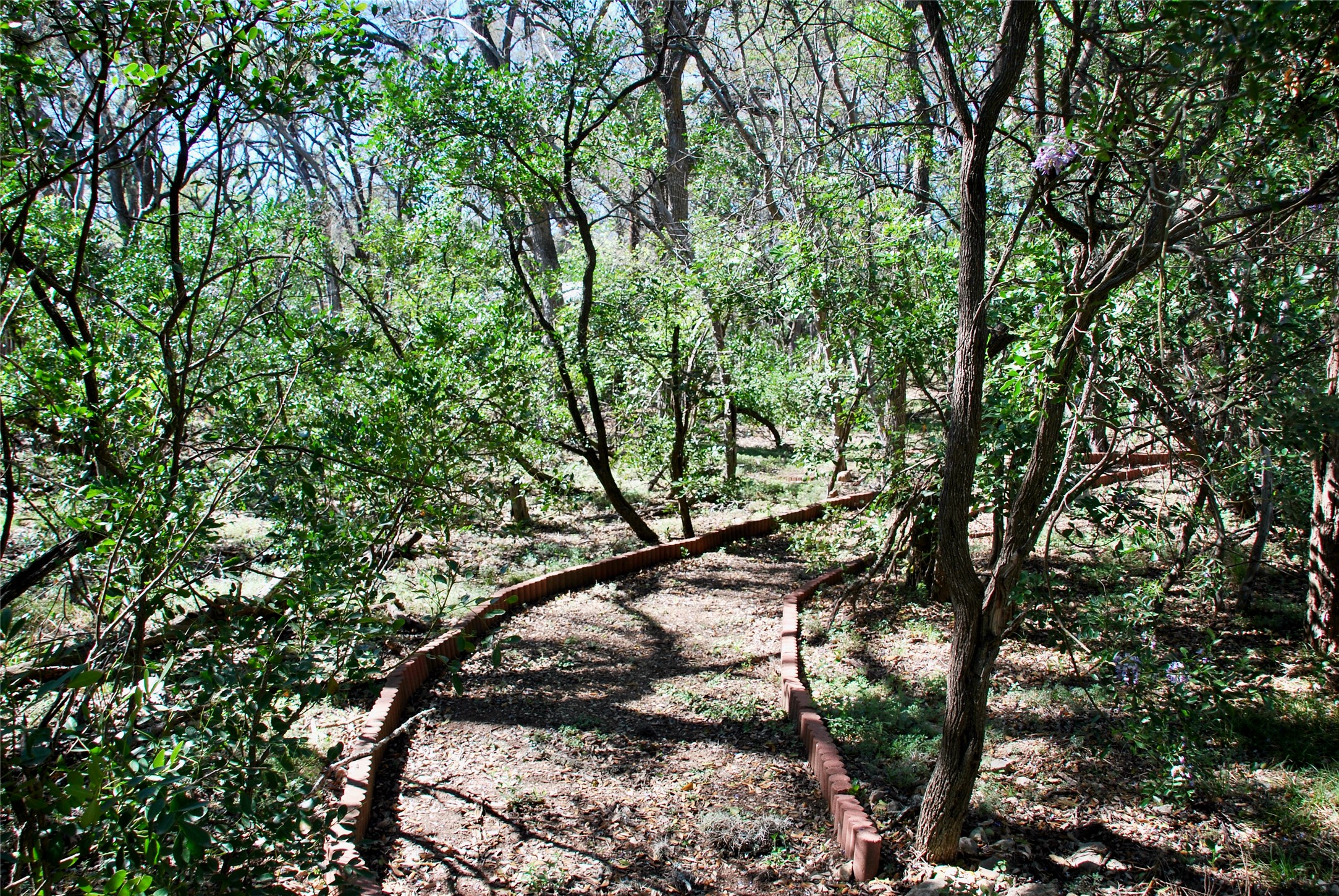 main property photo 26
