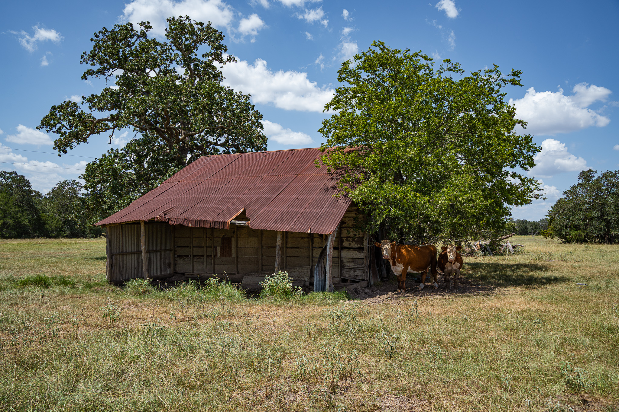 main property photo 15