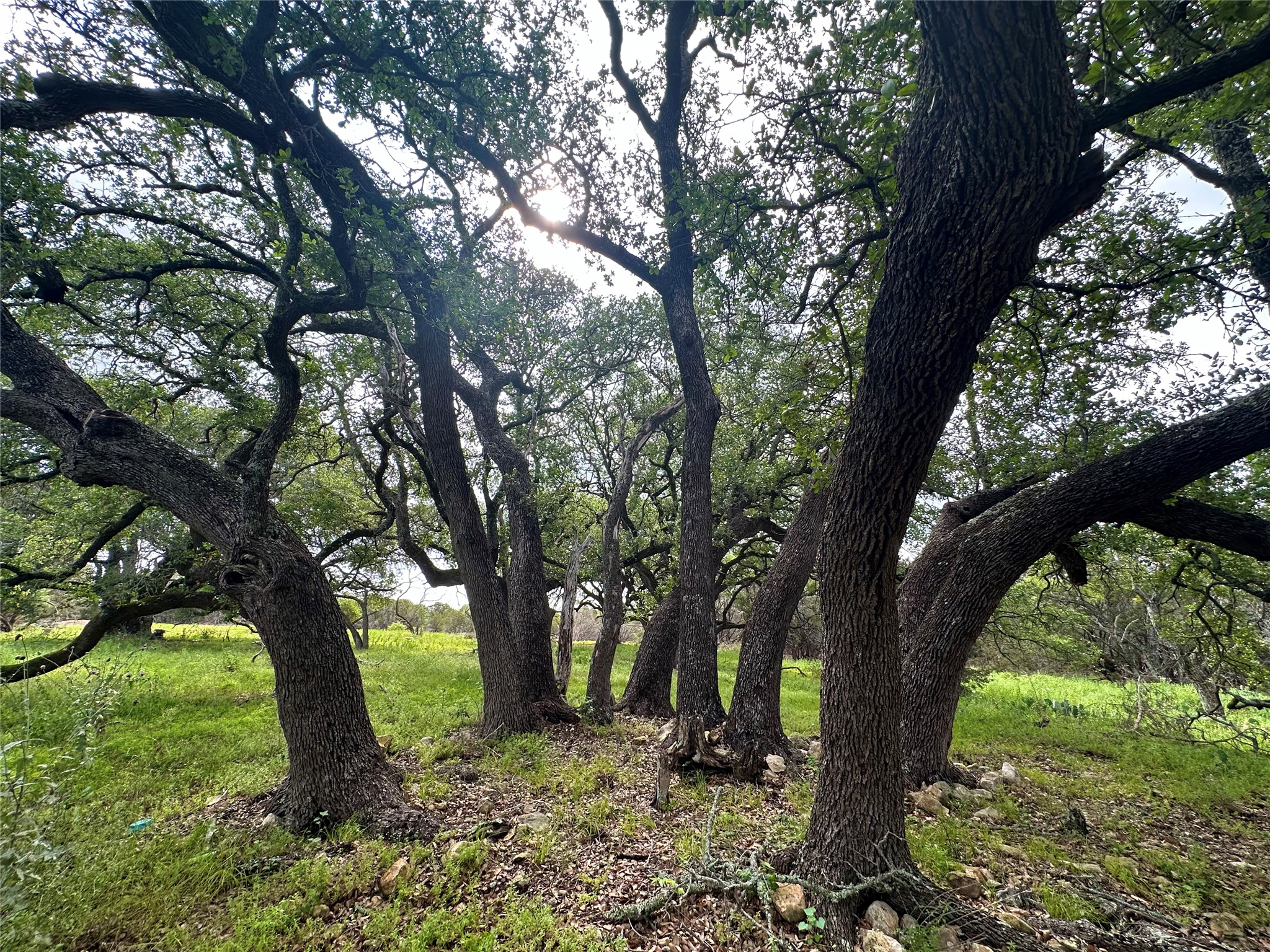 main property photo 12