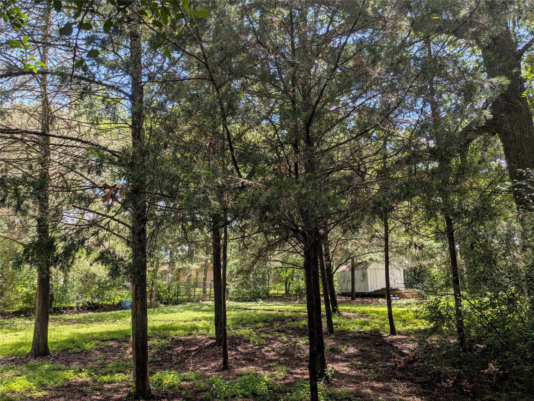 main property photo 12