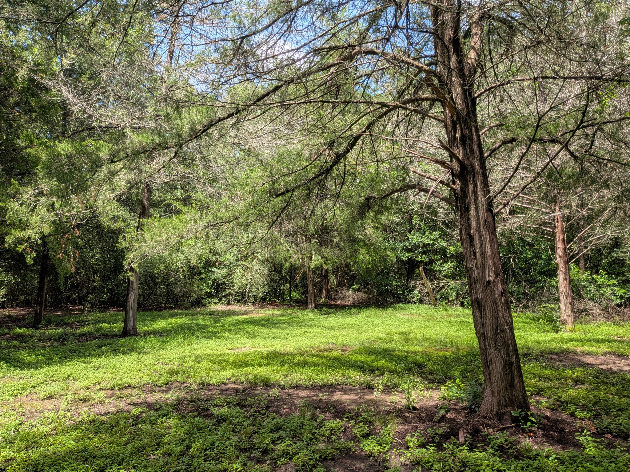 main property photo 14
