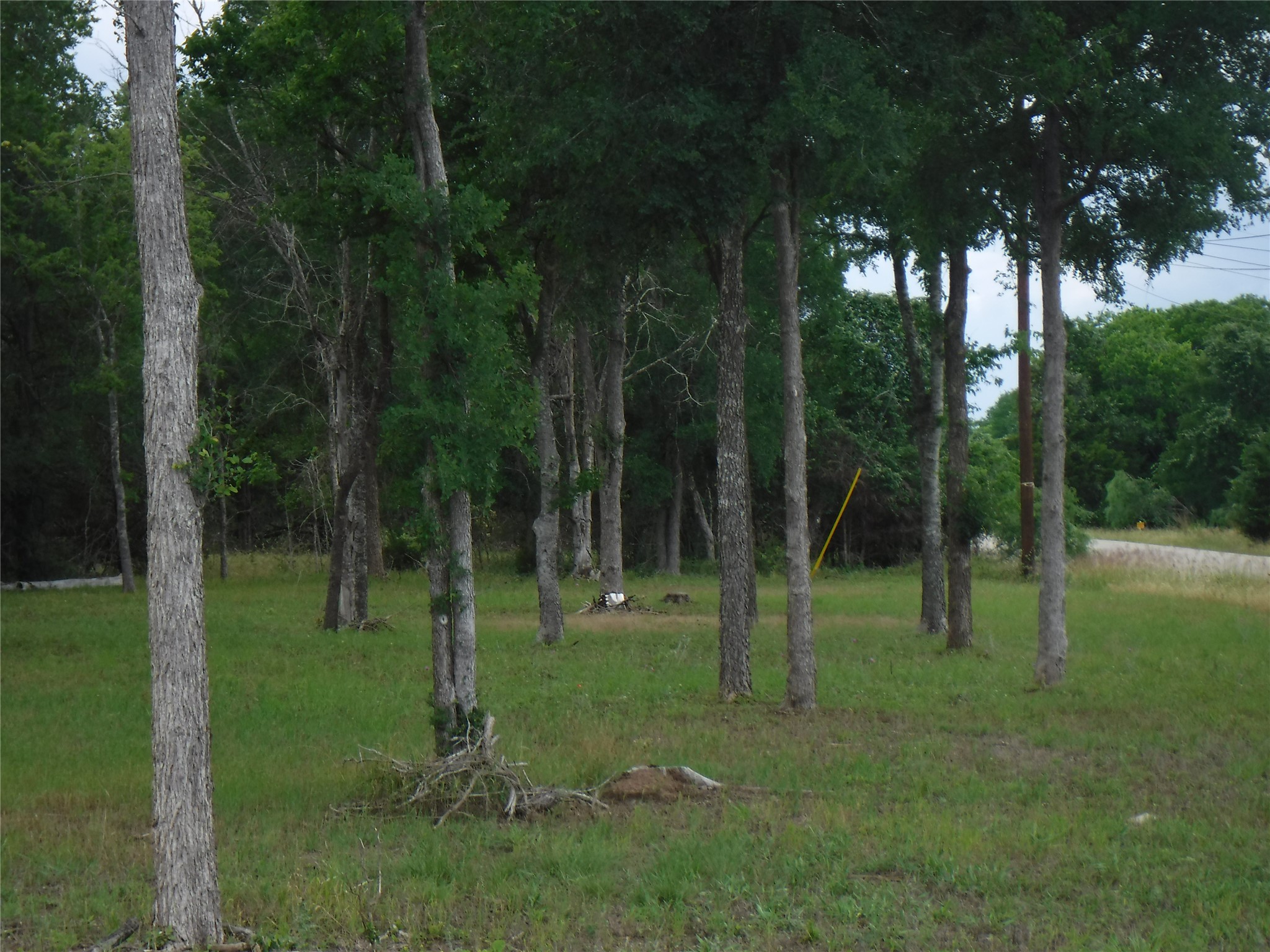 main property photo 24