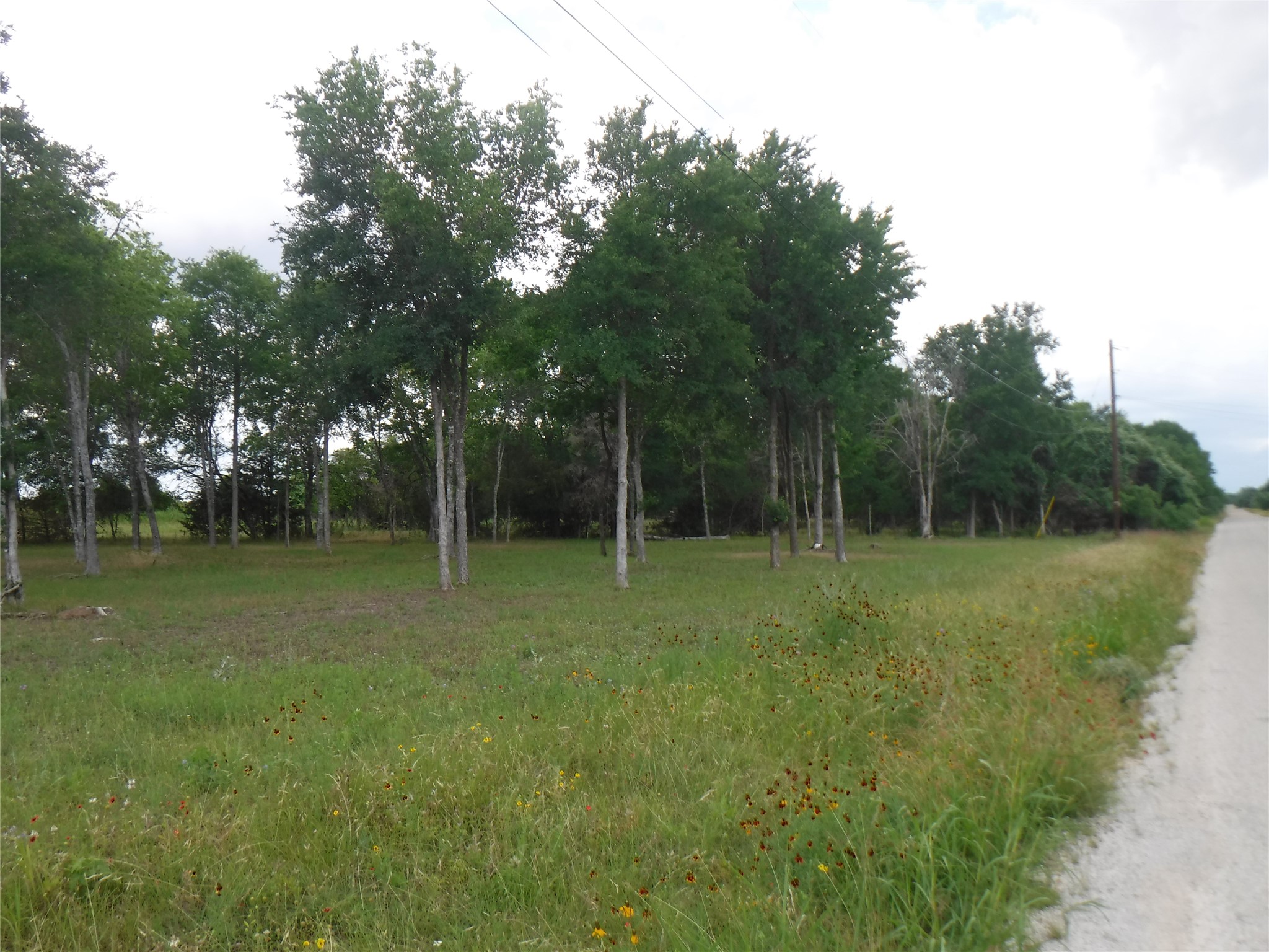 main property photo 9
