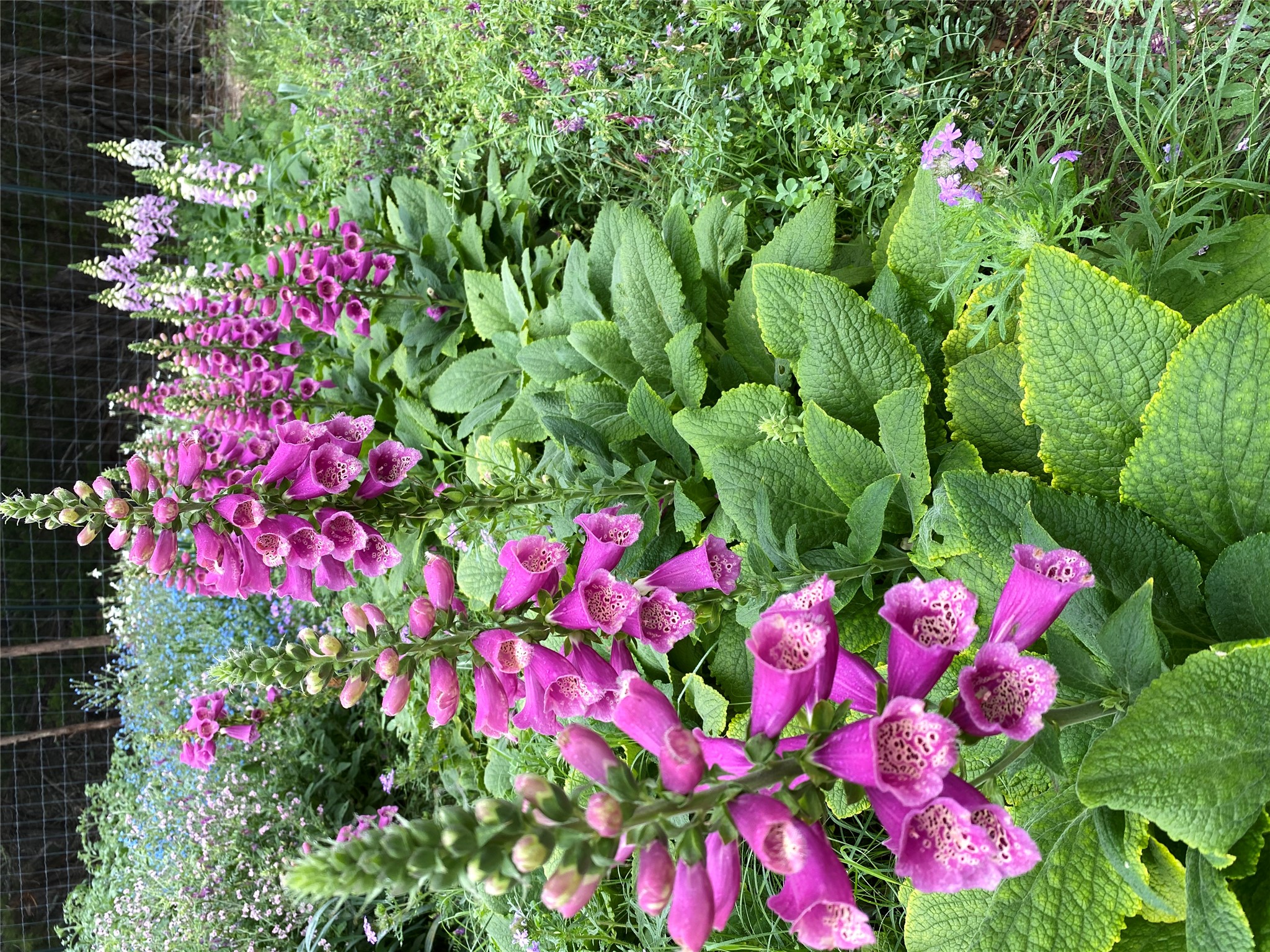 main property photo 34