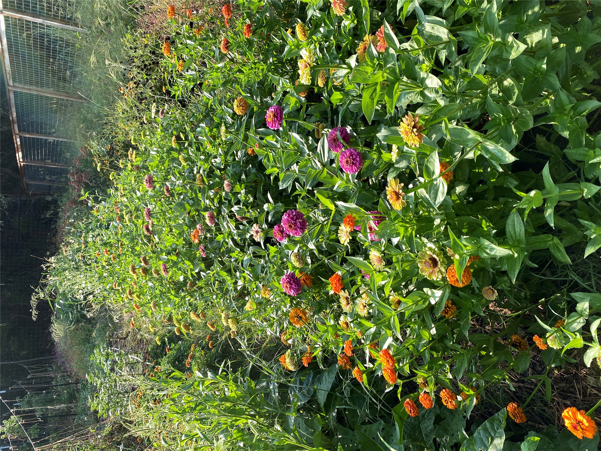main property photo 36