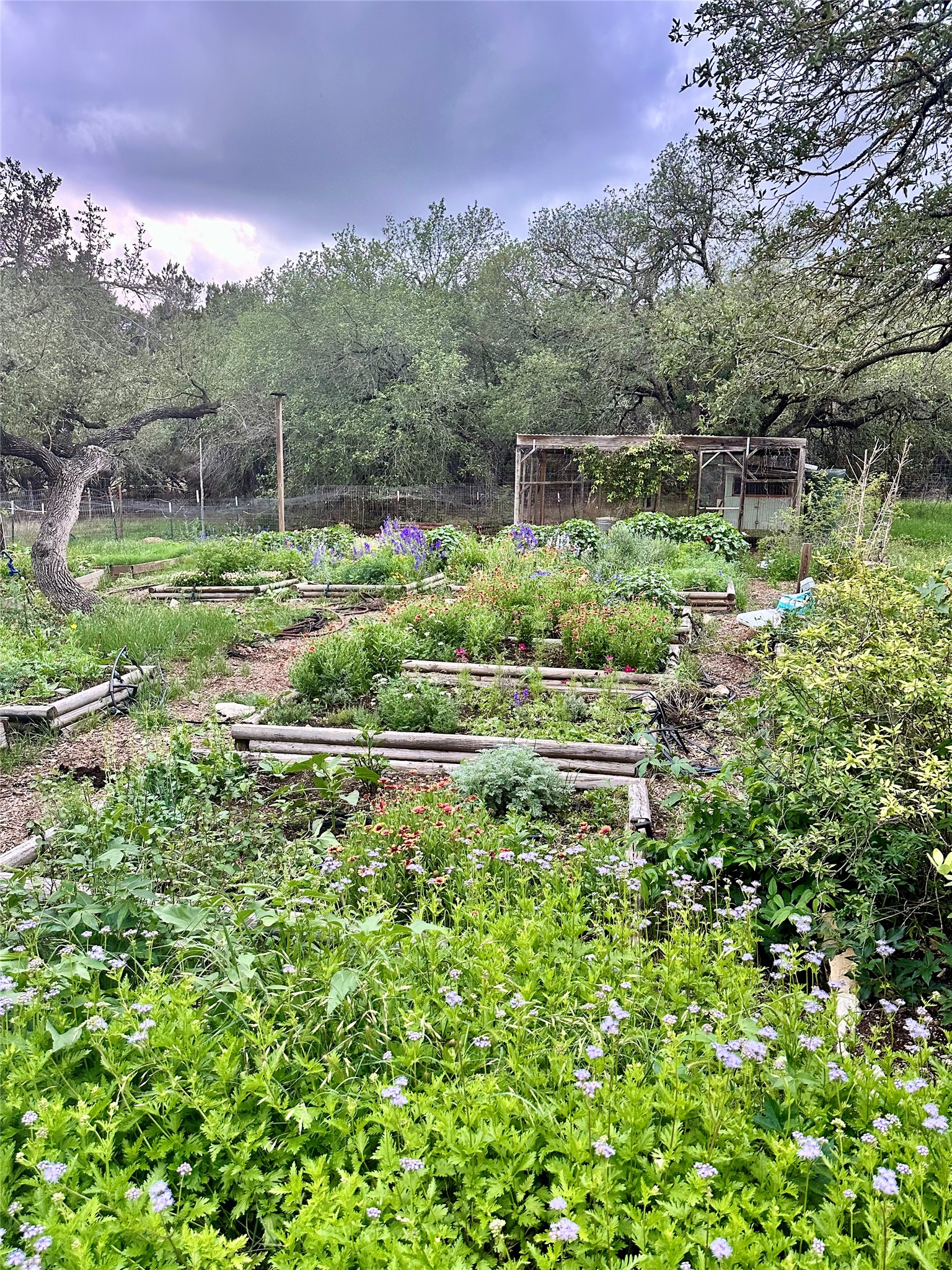 main property photo 37