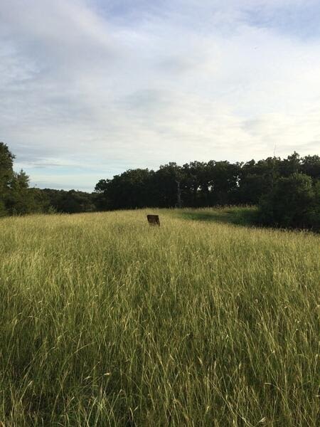 main property photo 15