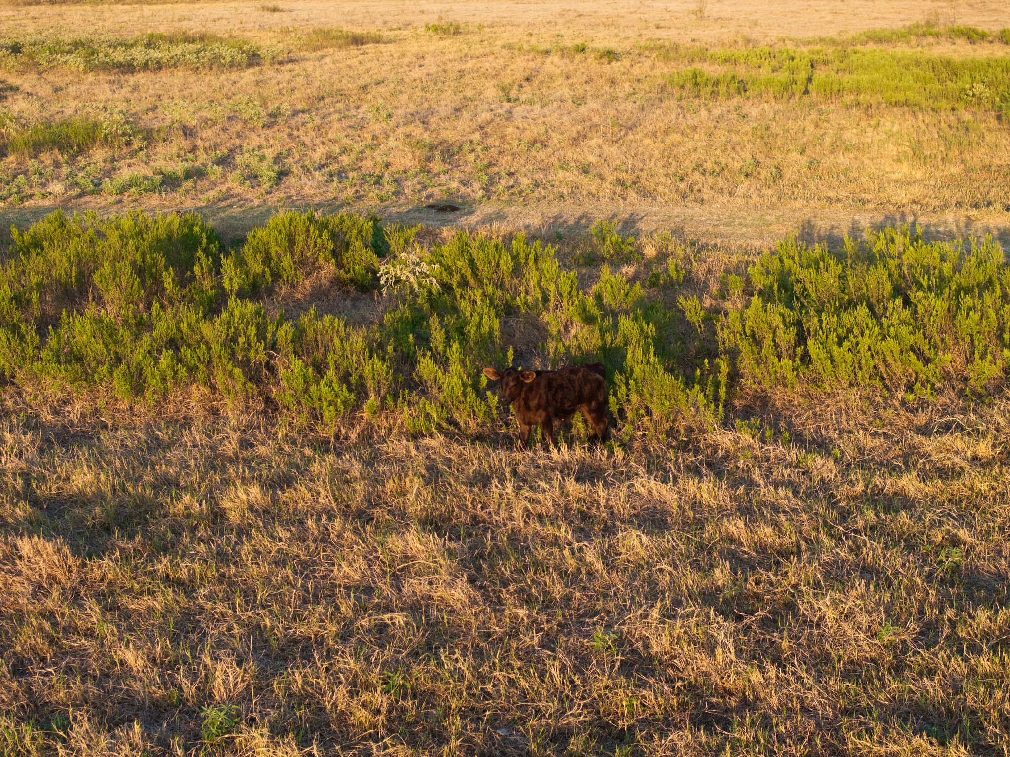 main property photo 18