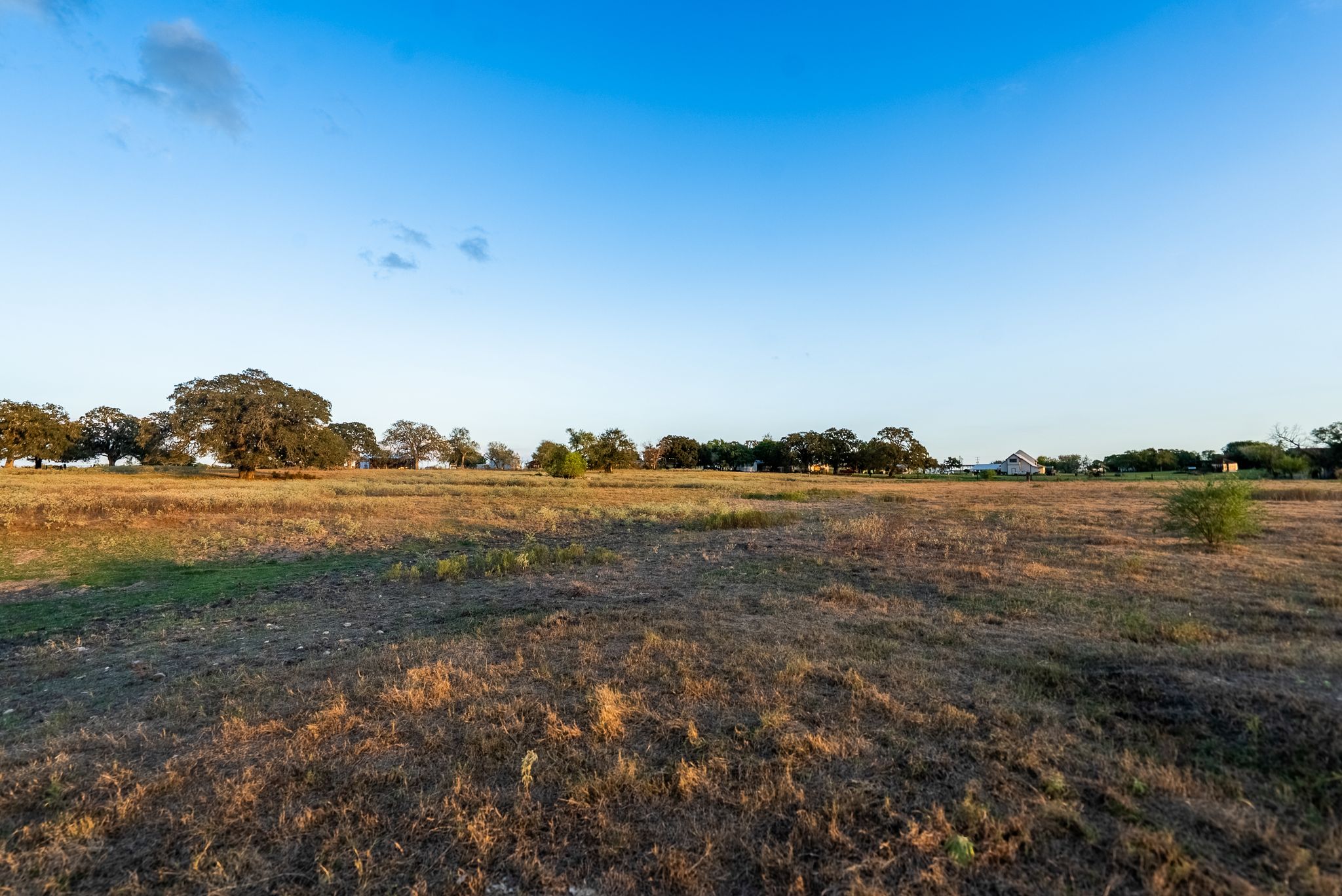 main property photo 37