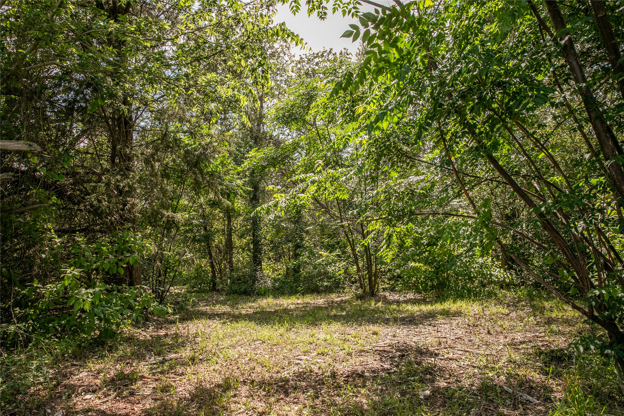 main property photo 20