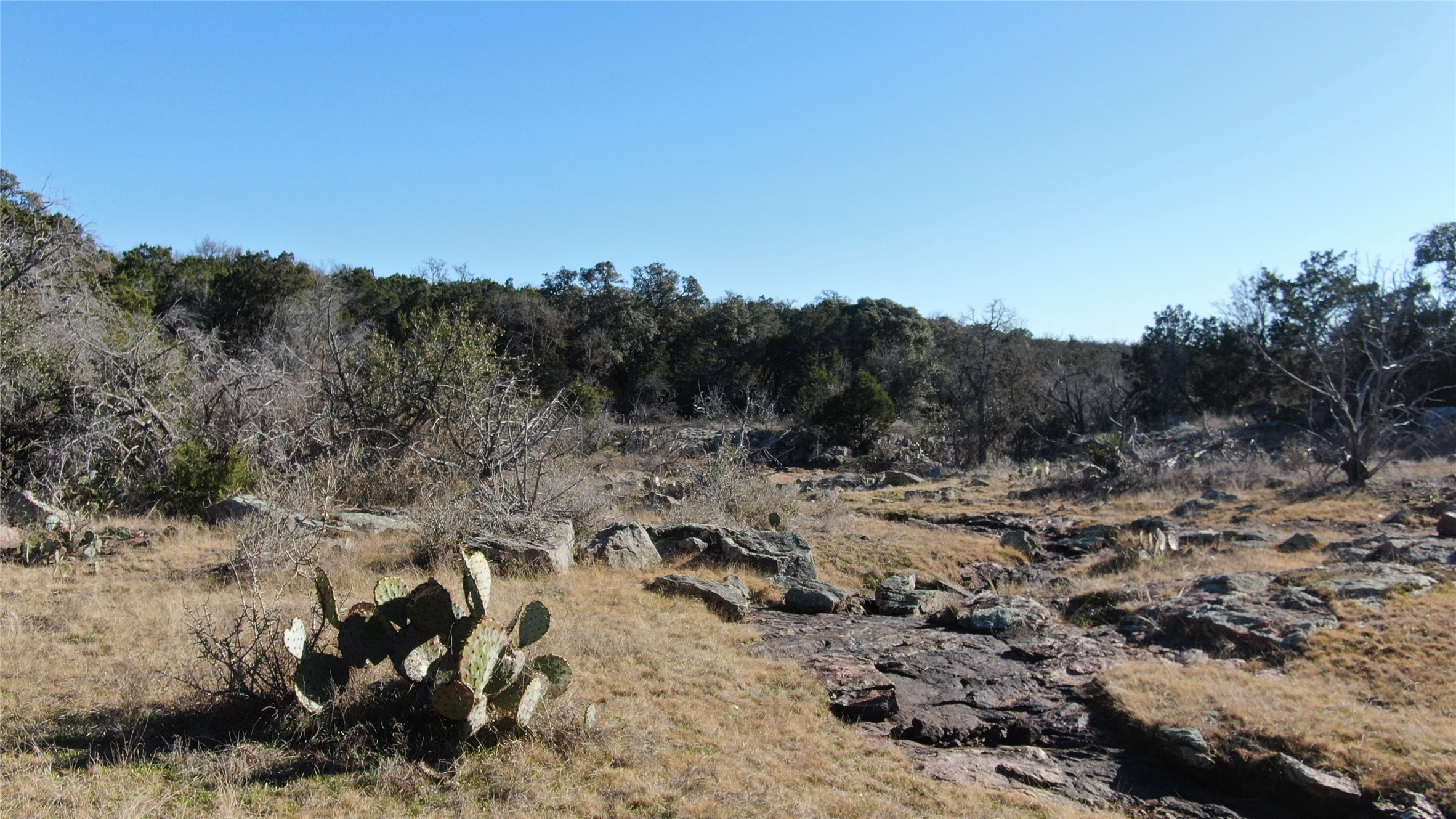main property photo 10