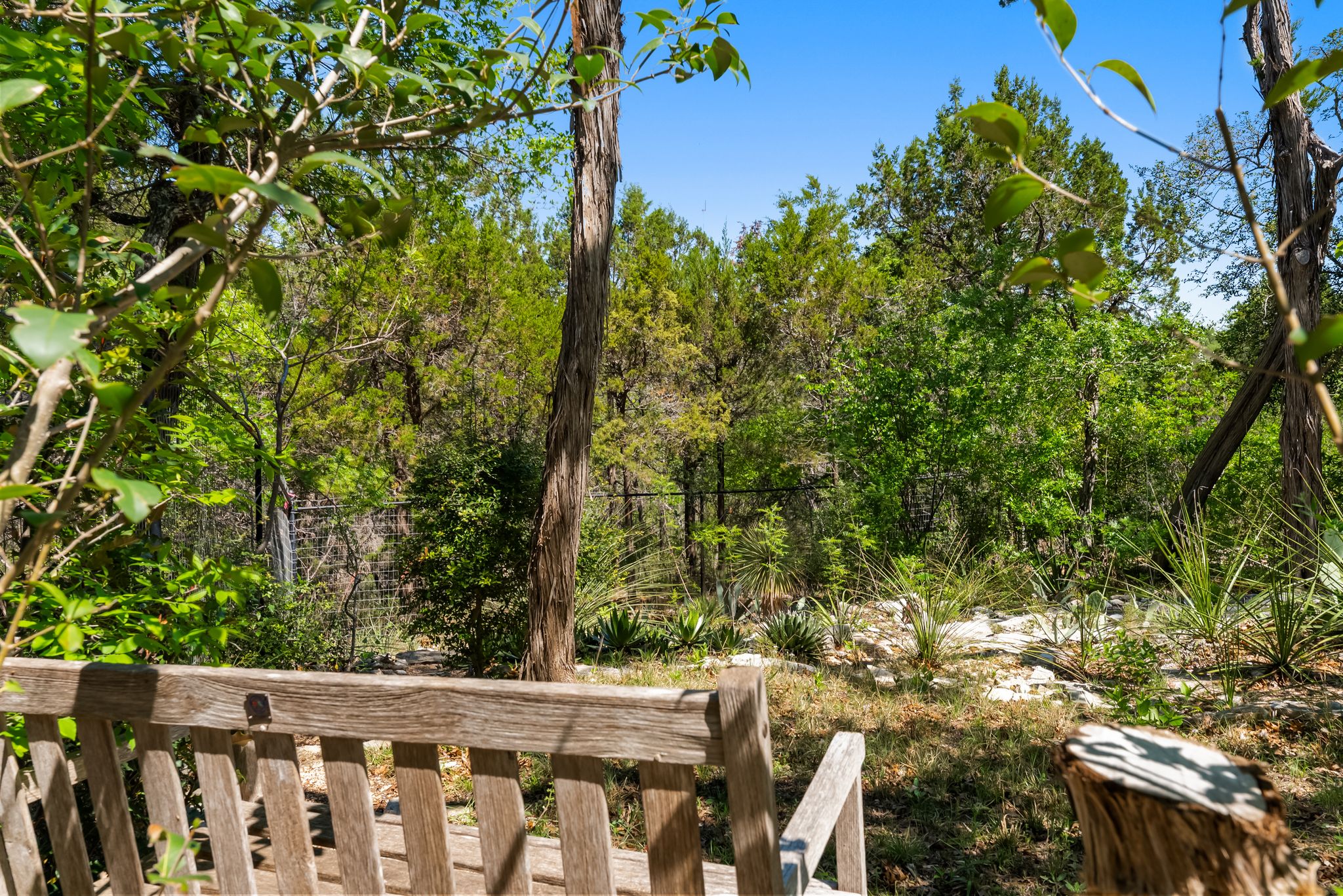 main property photo 38