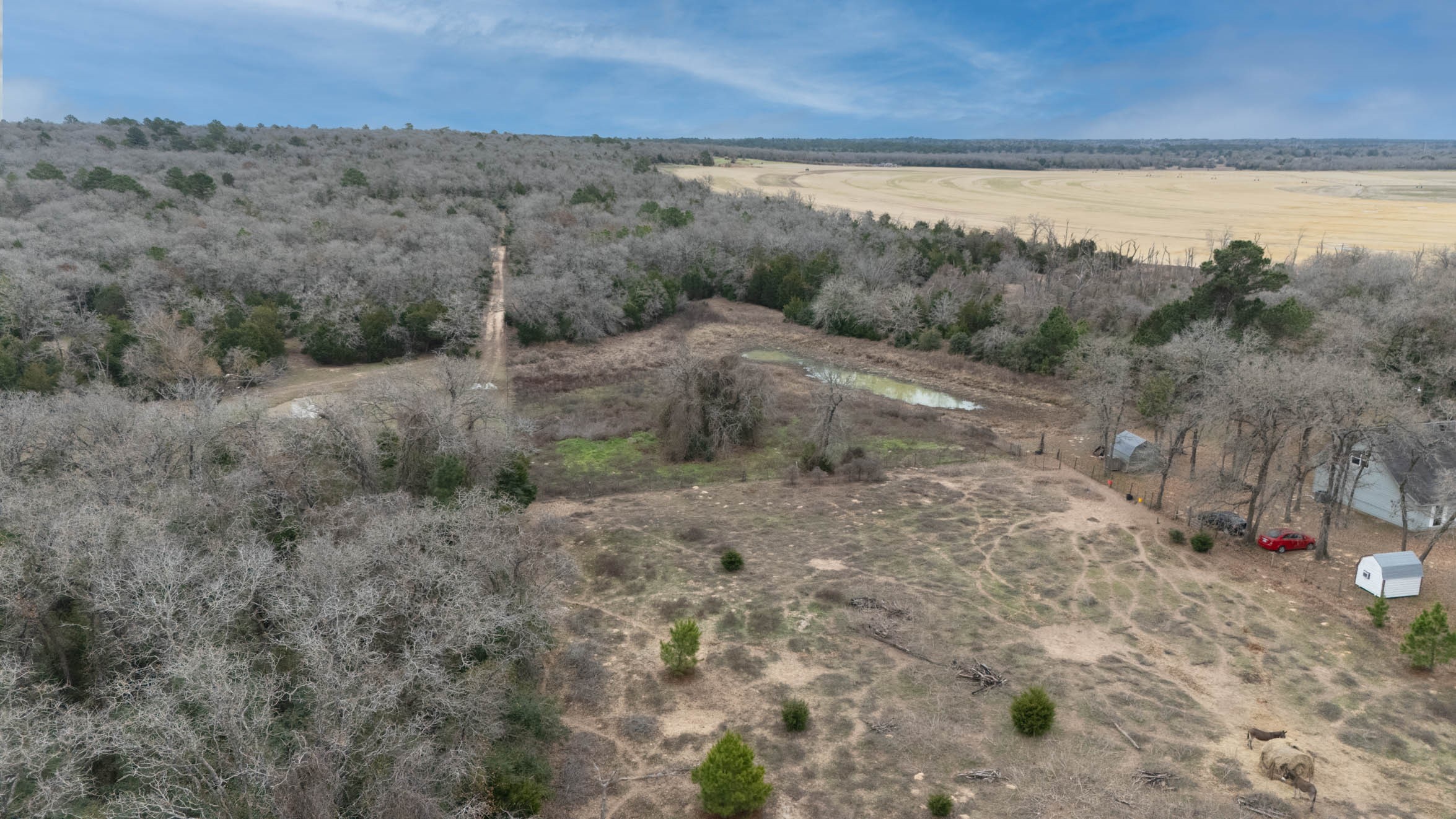 main property photo 13