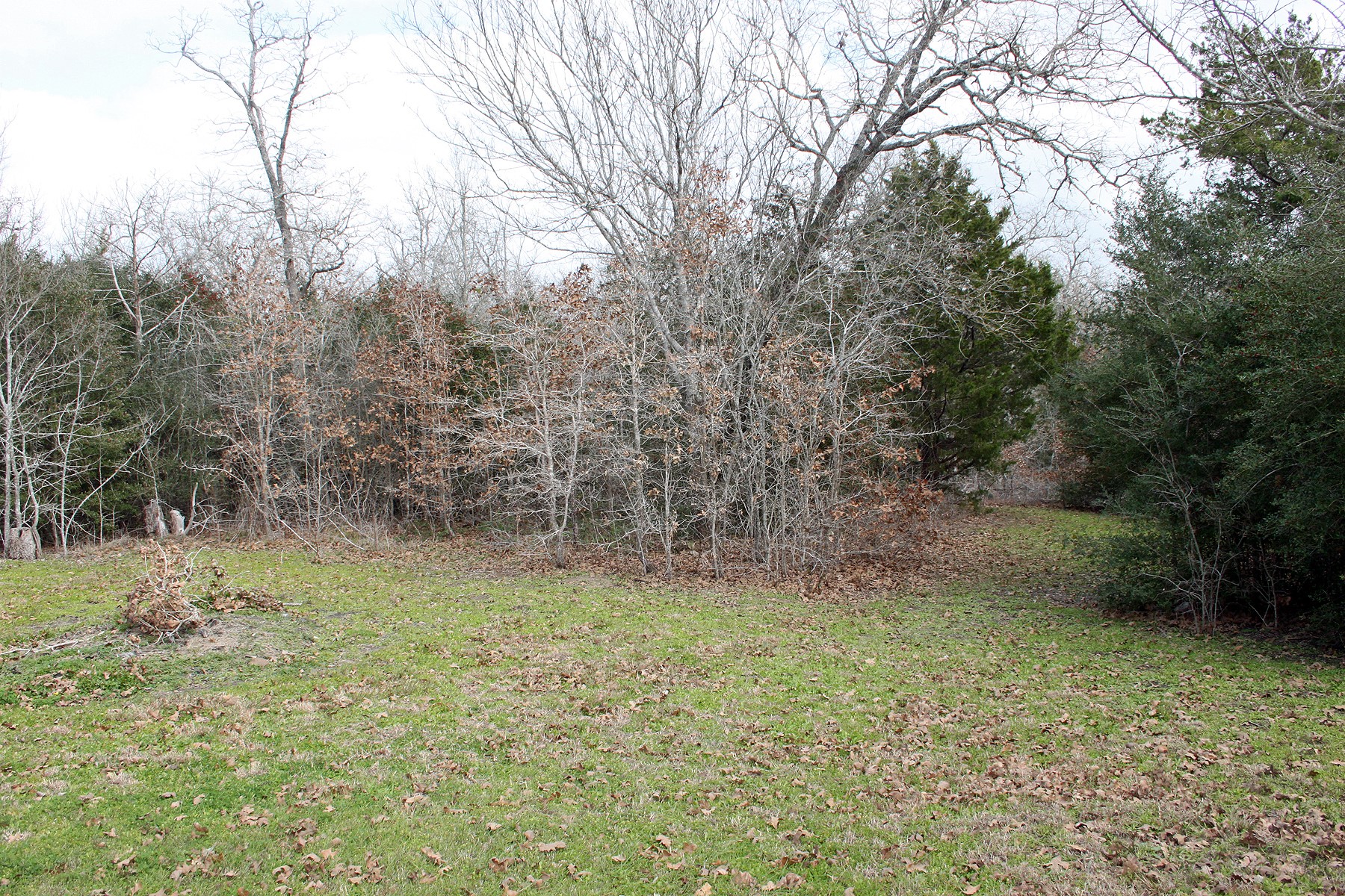 main property photo 11