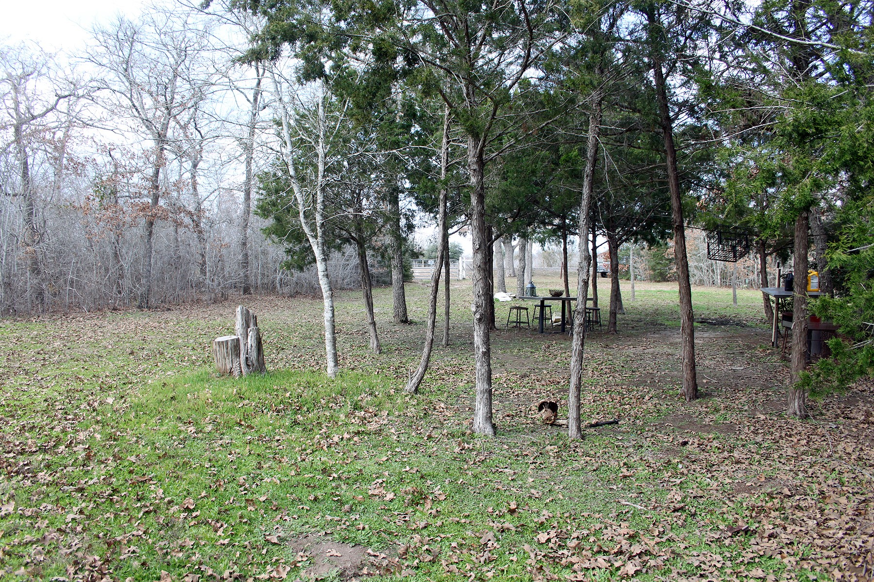 main property photo 14