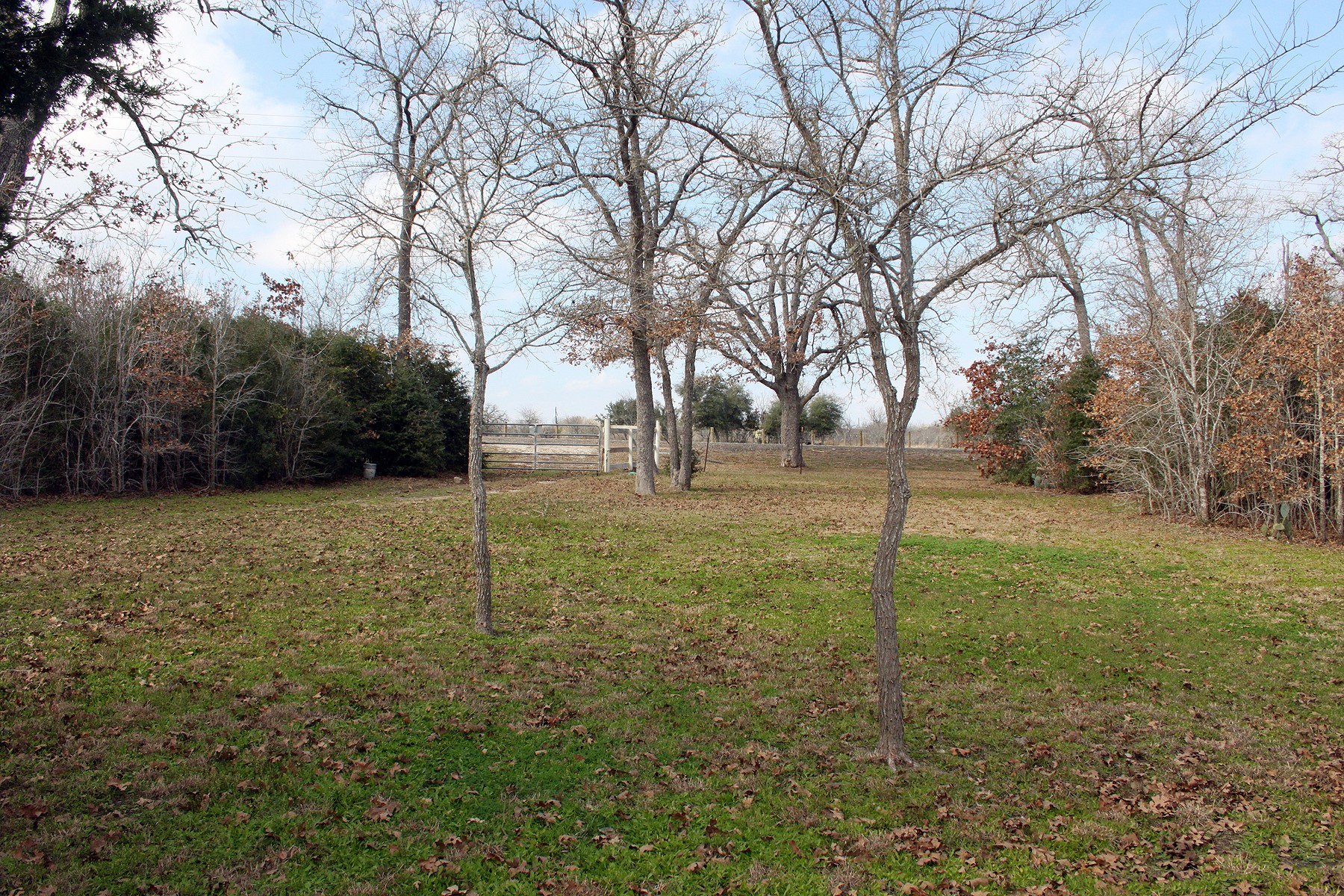 main property photo 15