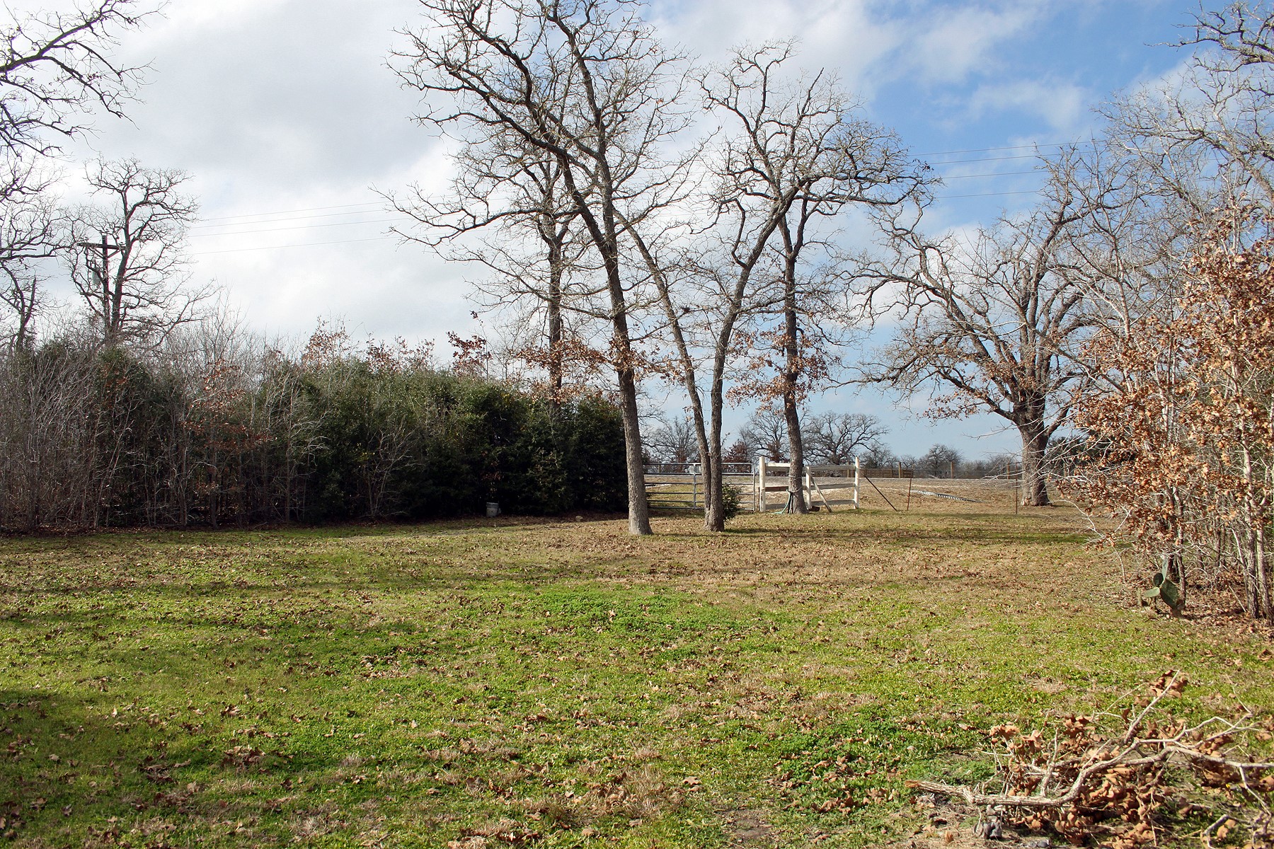main property photo 16