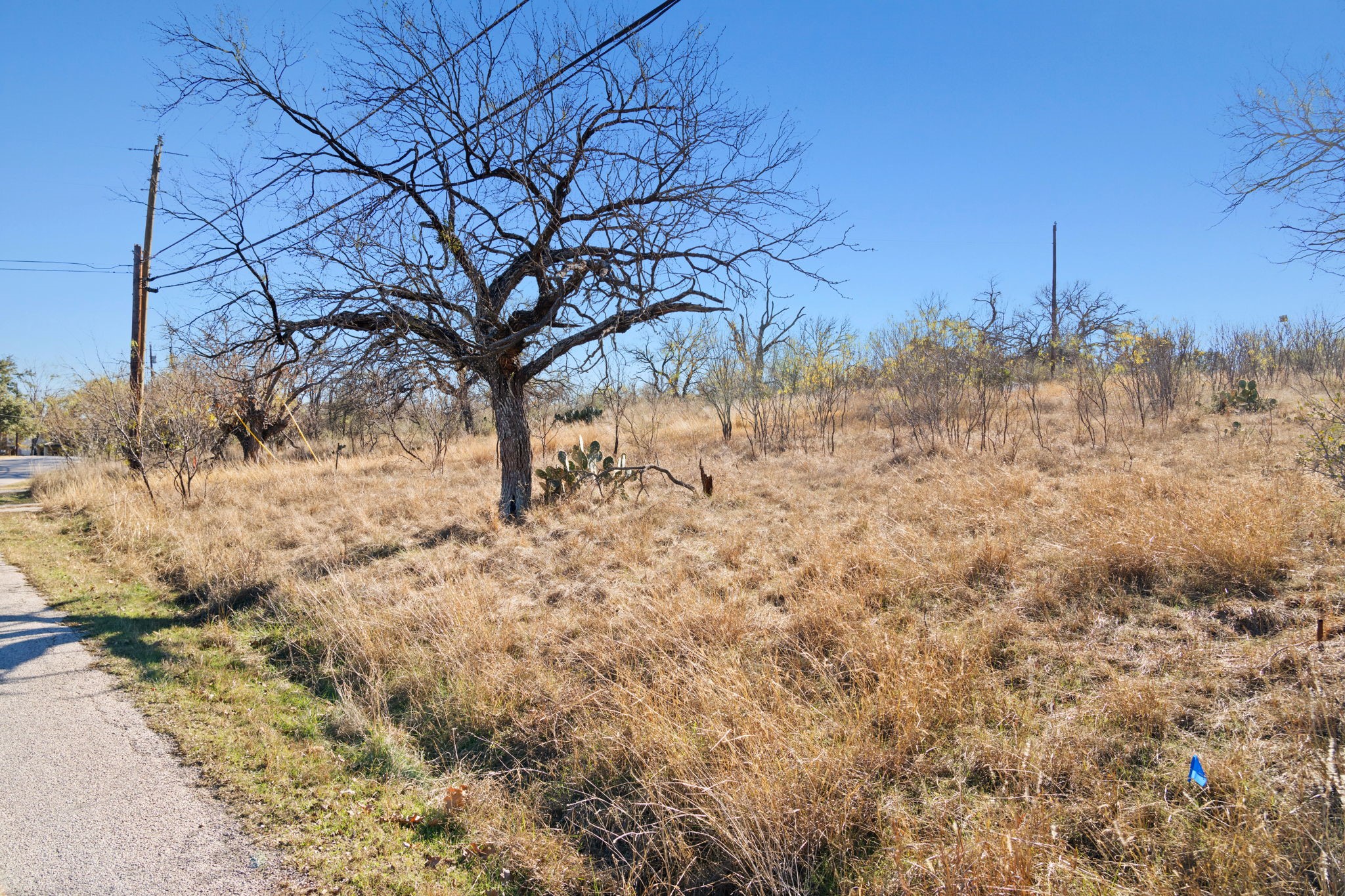 main property photo 32