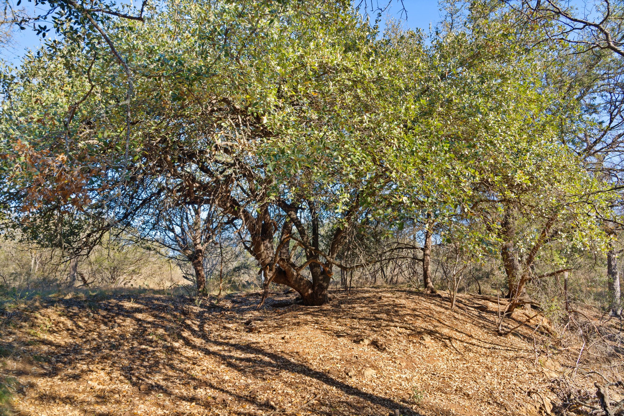 main property photo 37