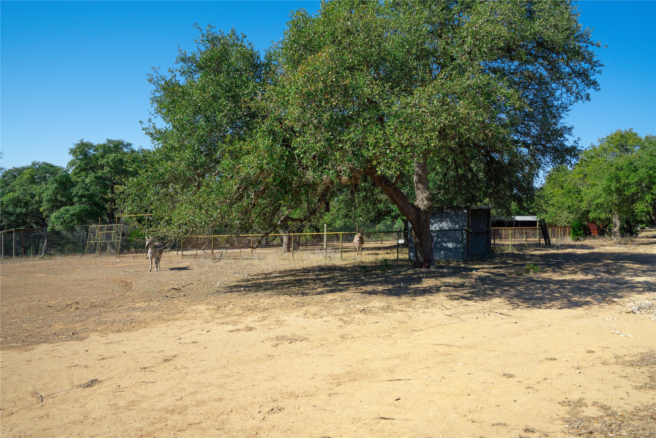 main property photo 11