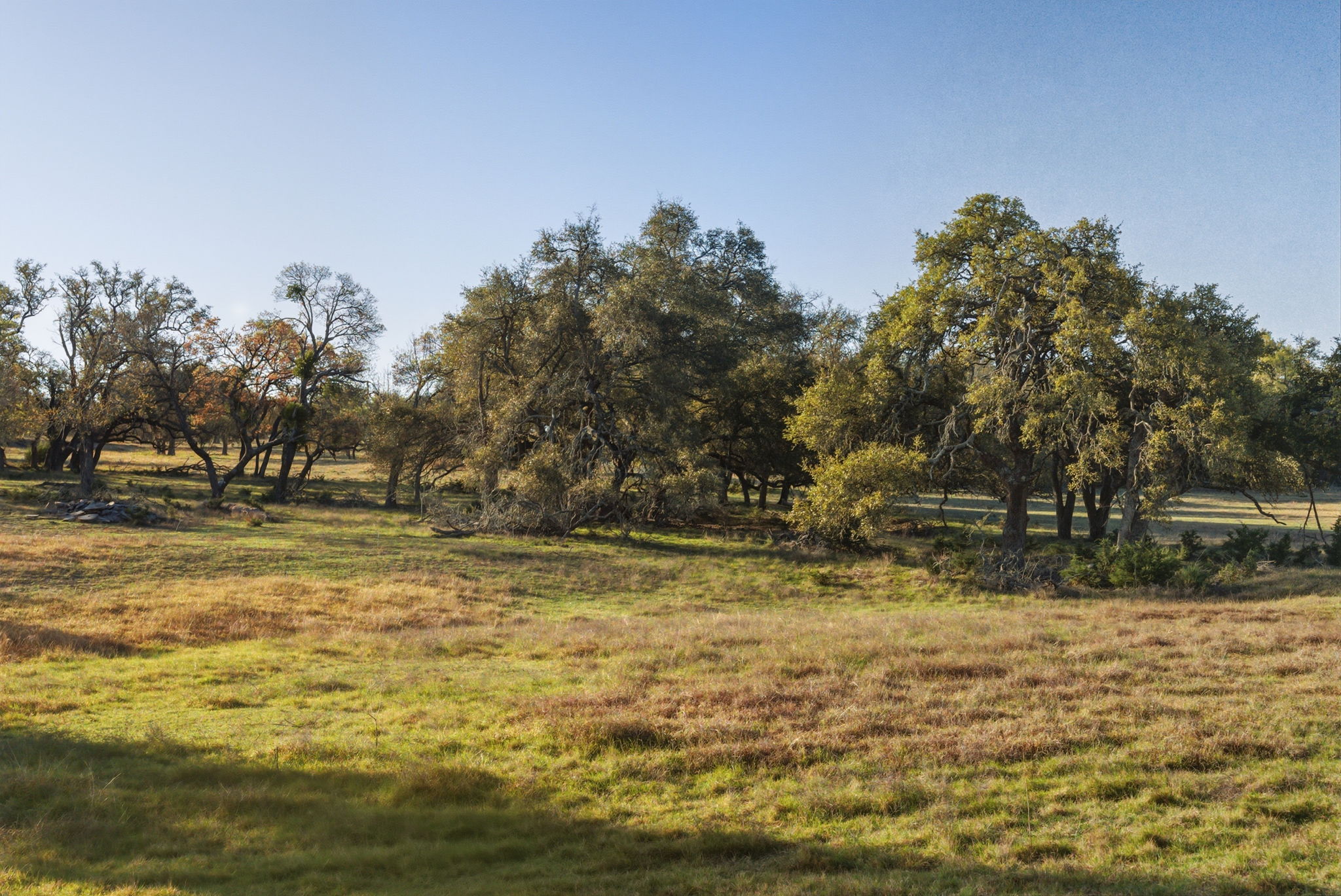 main property photo 15